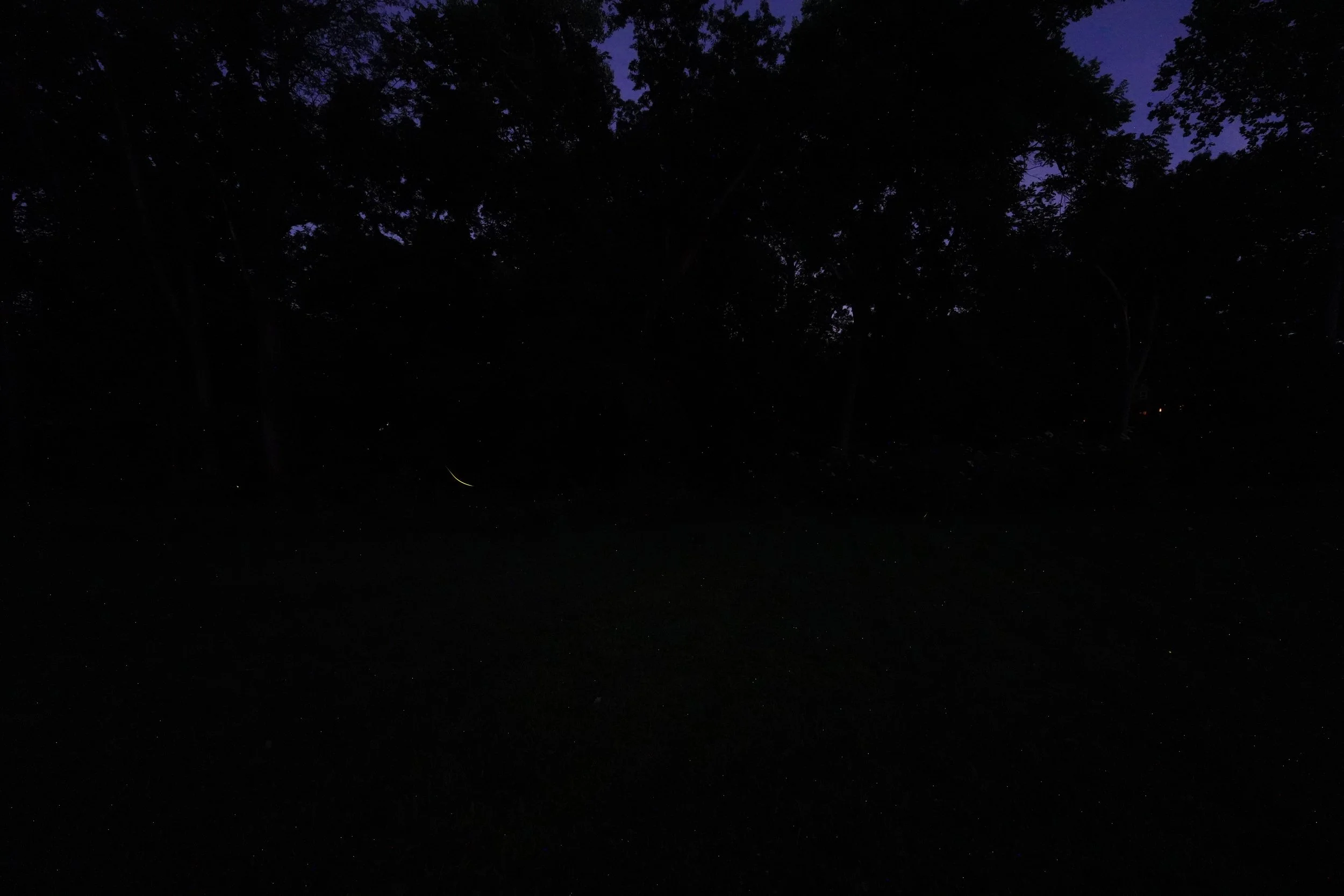 DSC06466.JPG
