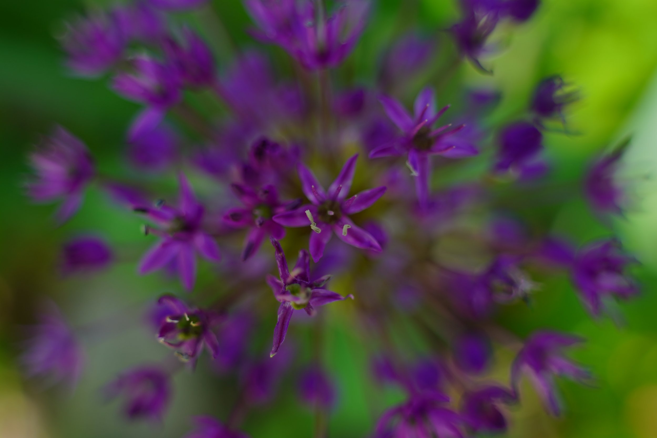 DSC04936.JPG