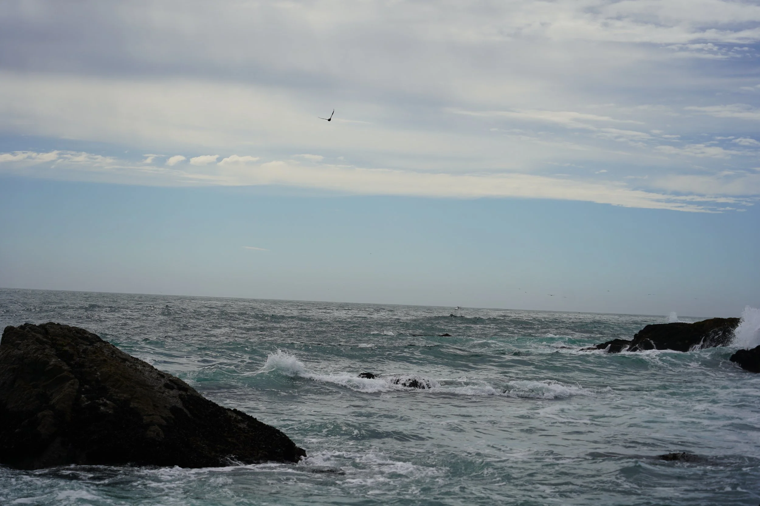 DSC09344.JPG