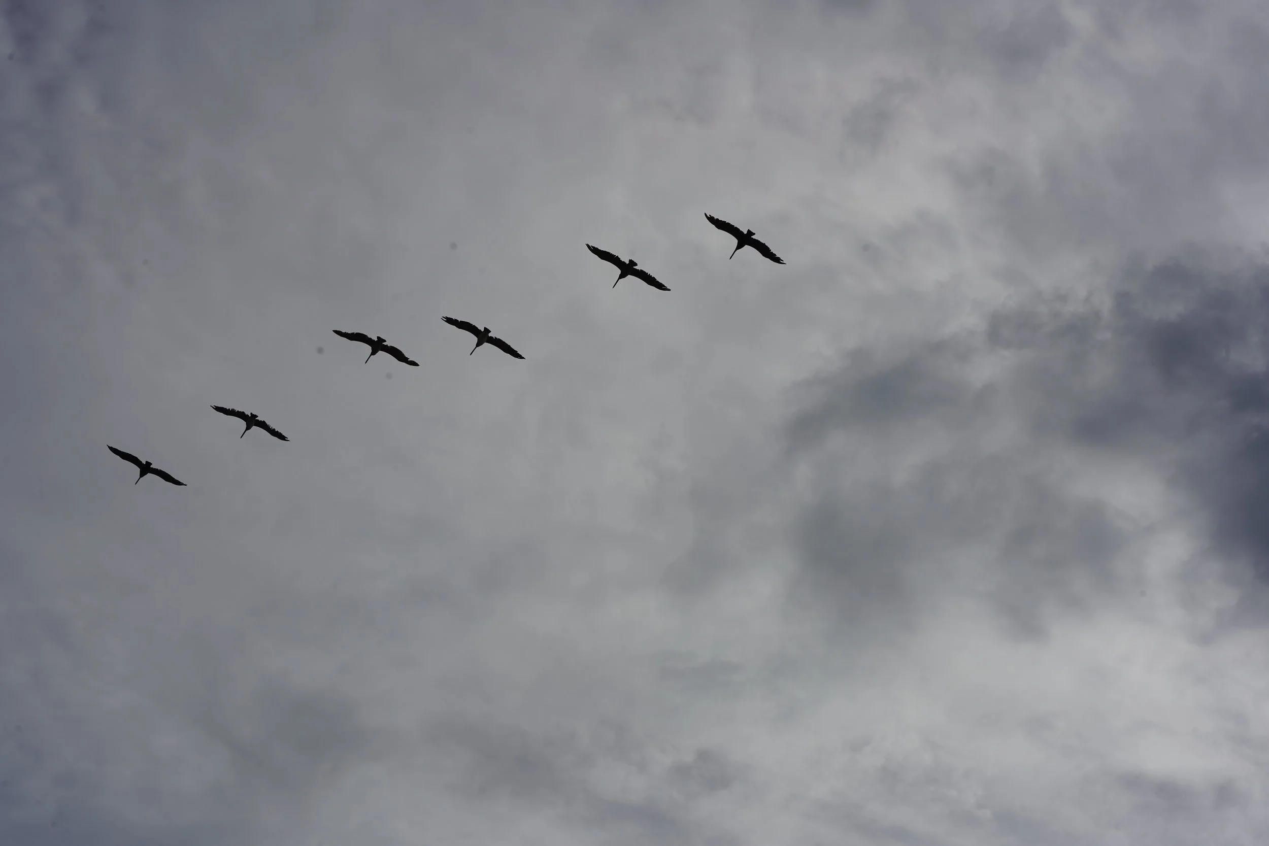 DSC09461.JPG