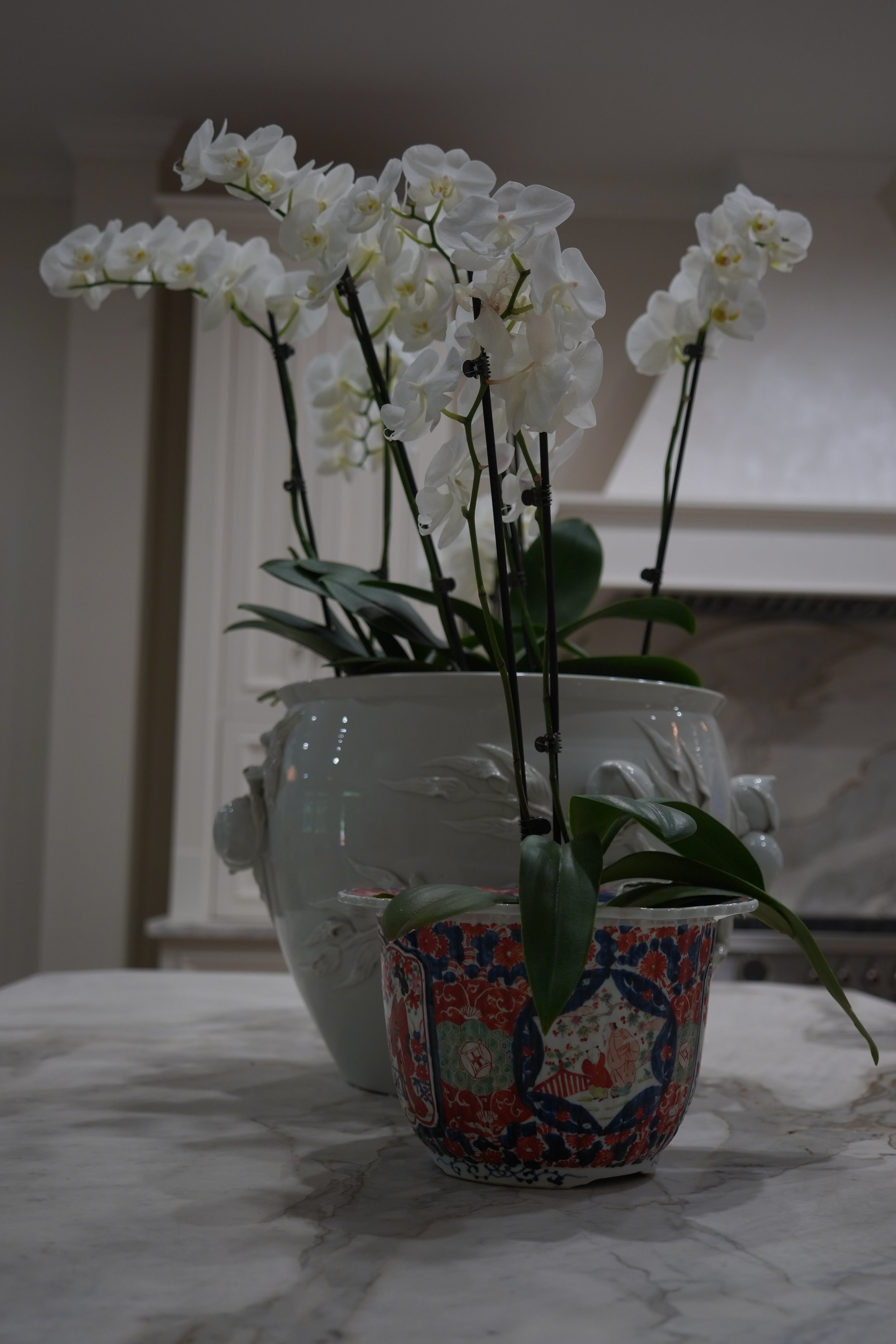 DSC07633.JPG
