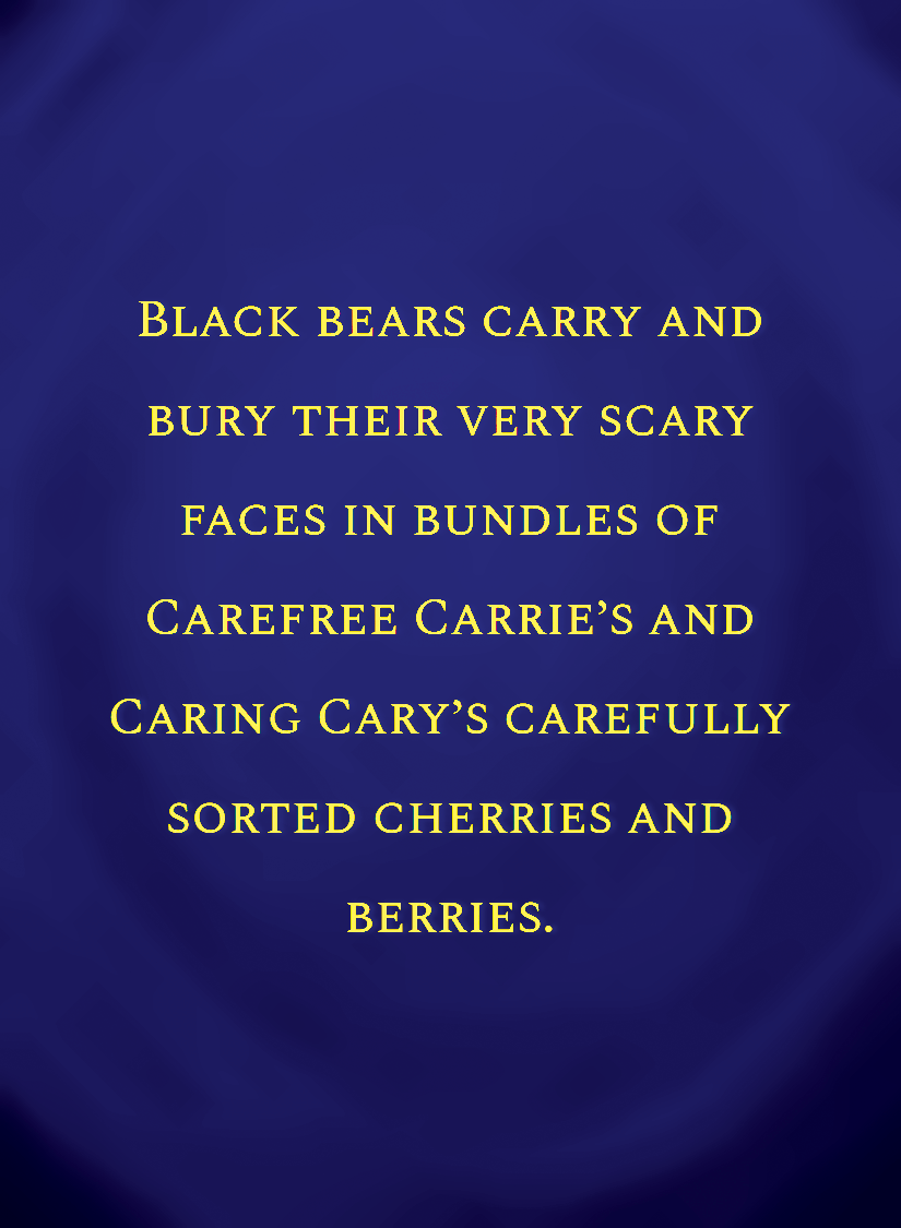 Black bears[face,1].png