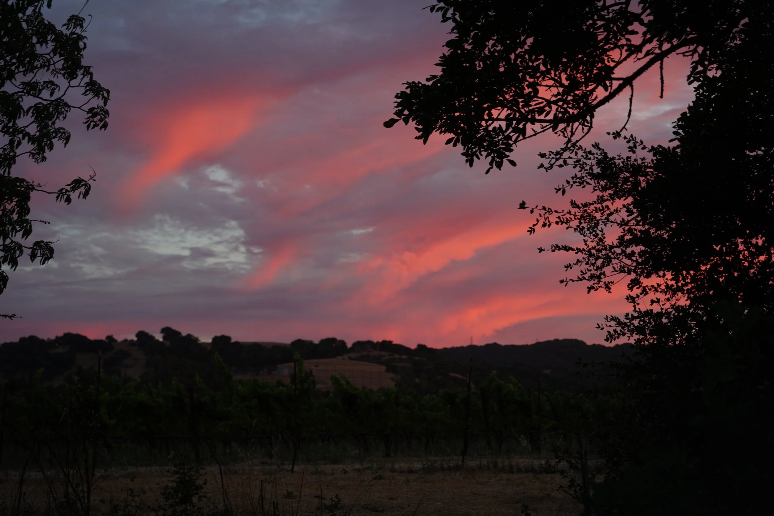 DSC08175.JPG