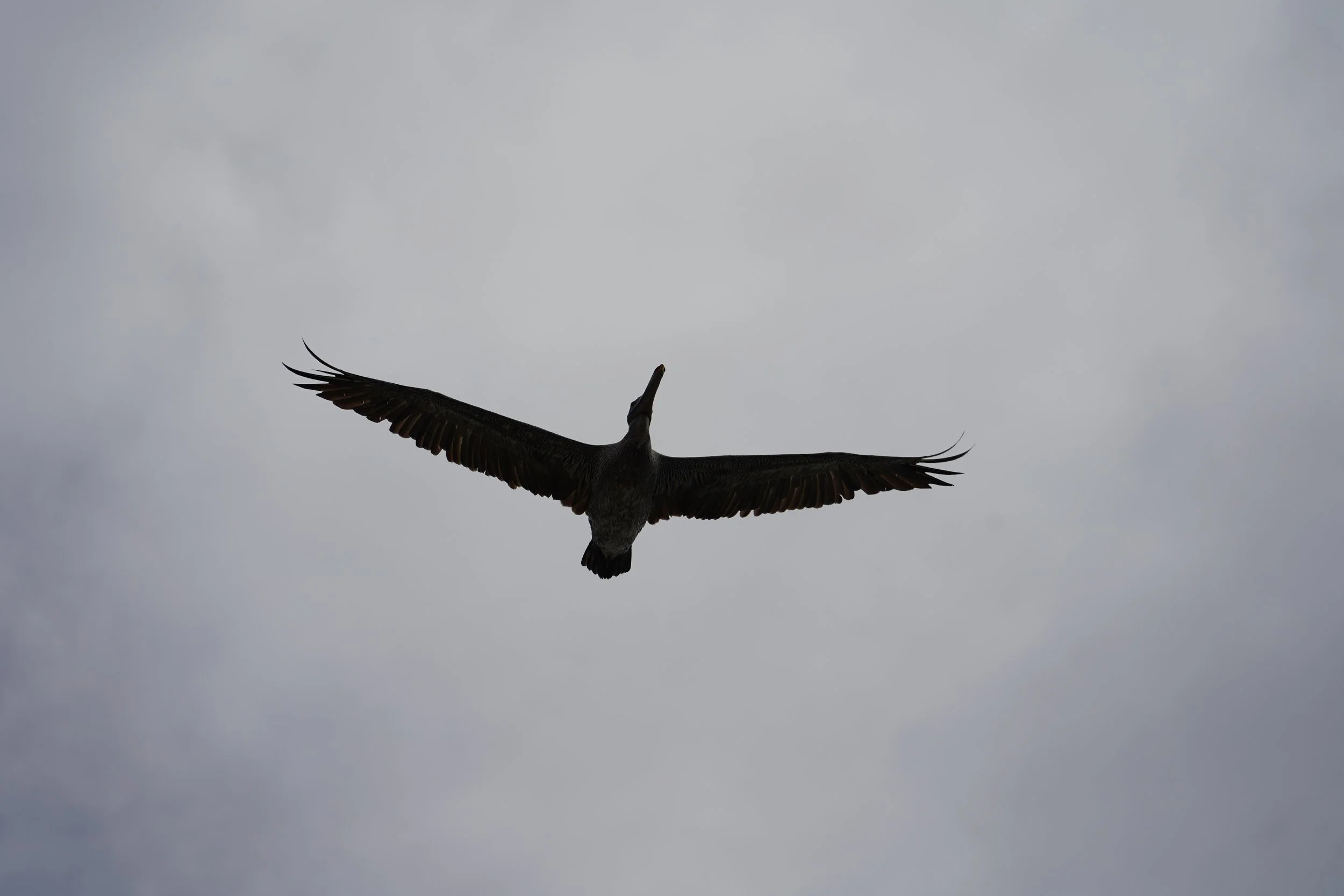 DSC09368.JPG