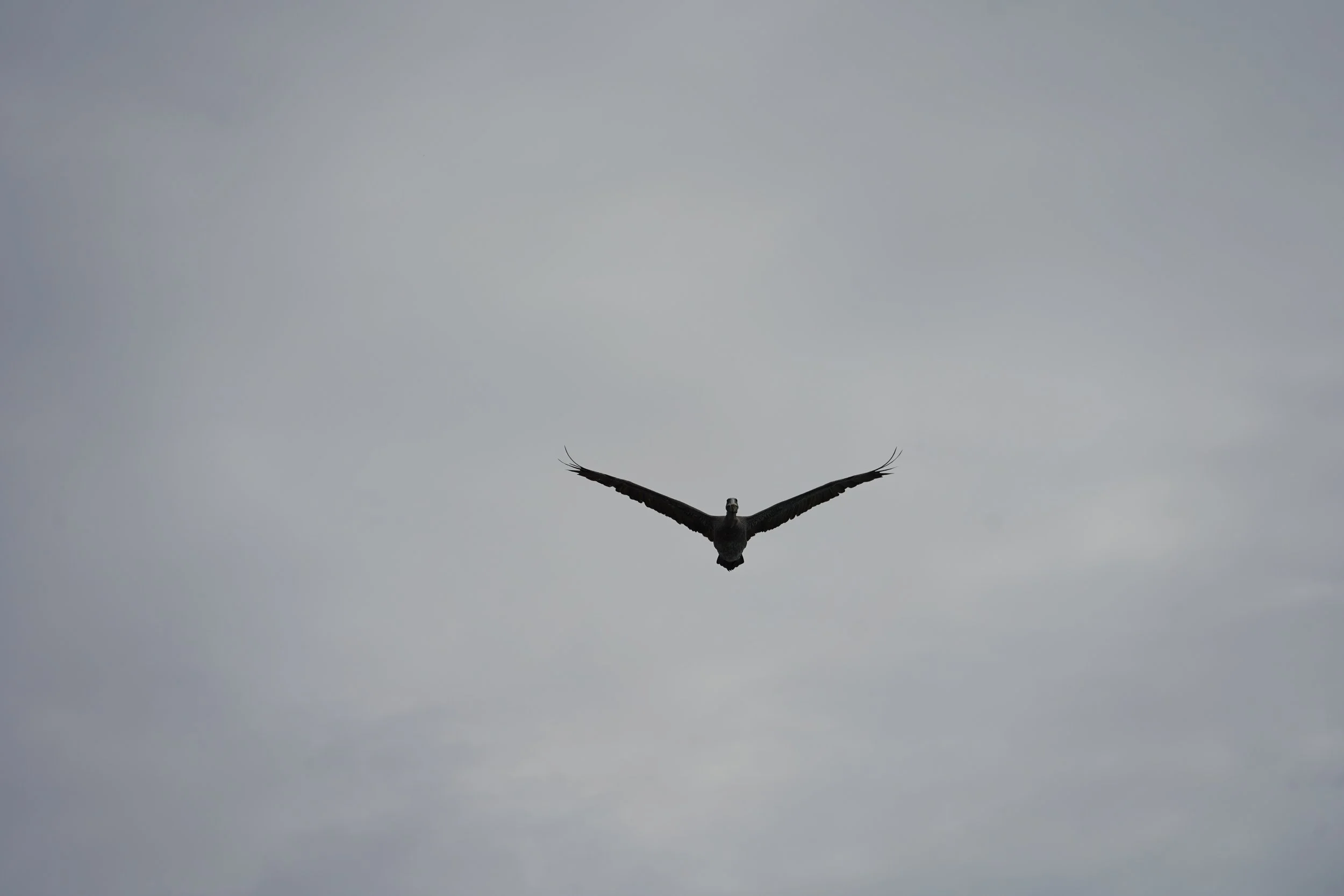 DSC09363.JPG