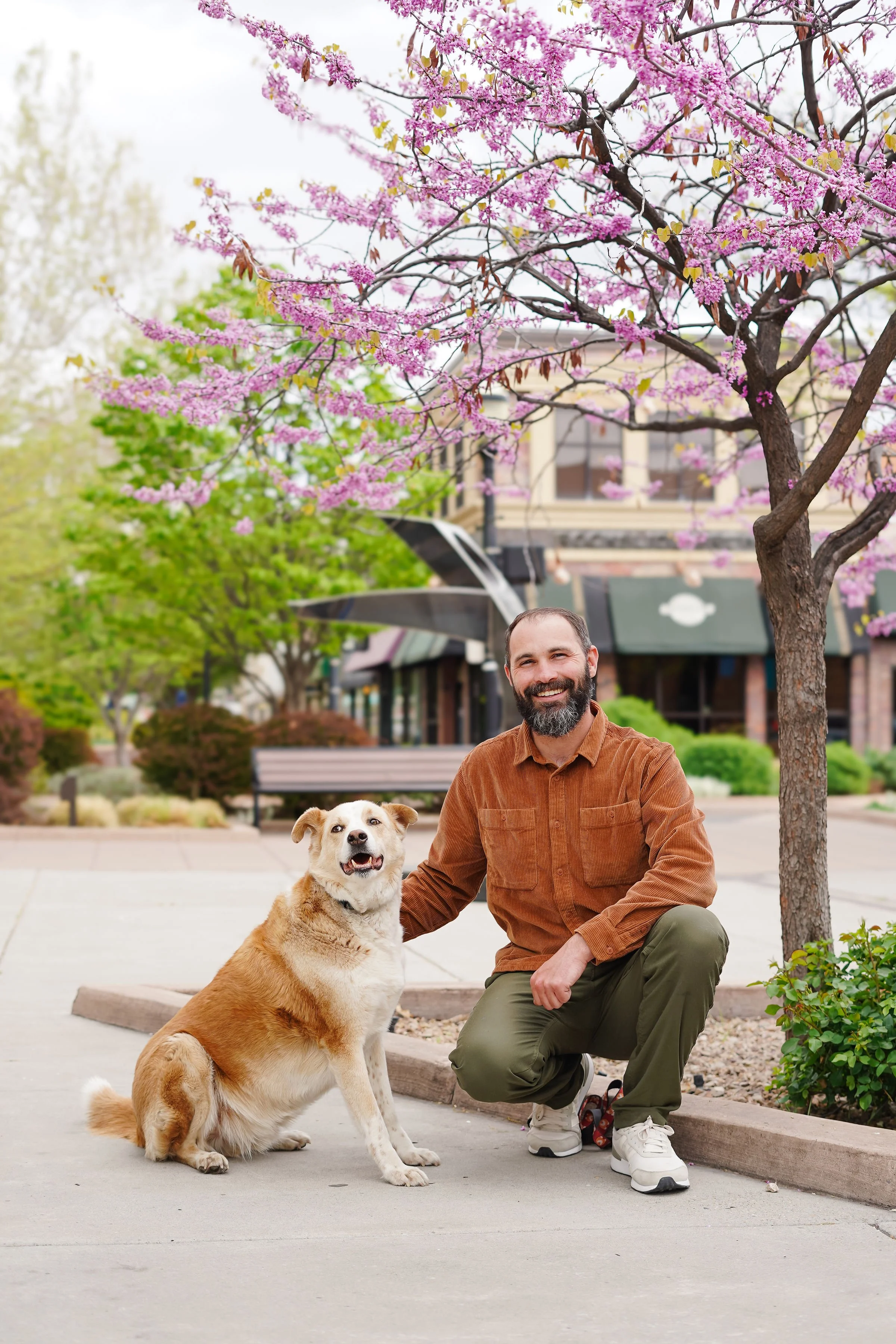 A man with a beard and a mustache, wearing a brown jacket and green pants, kneels next to a large, tan and white dog on a city sidewalk. The man is smiling and has one hand resting on the dog’s neck. Behind them, there is a pink flowering tree, green shrubs, a bench, and a building with a storefront, suggesting a lively downtown area.