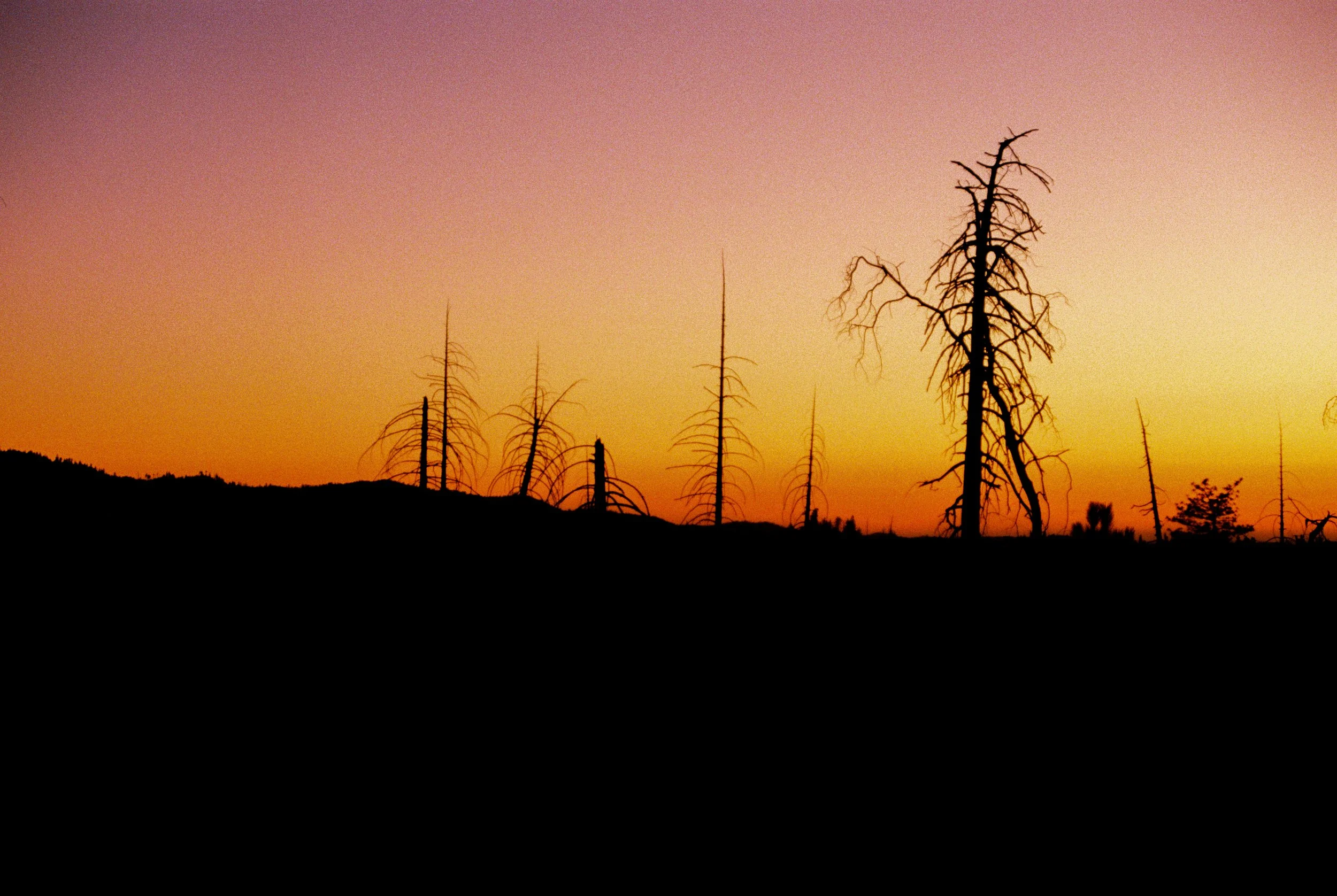 The Machine's Engine-150.jpg