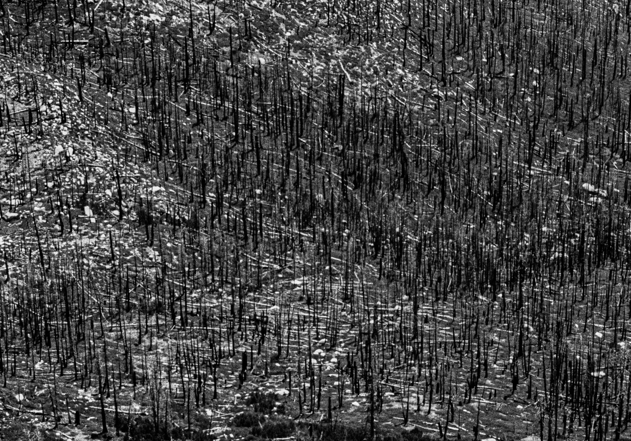 The Machine's Engine-26.jpg