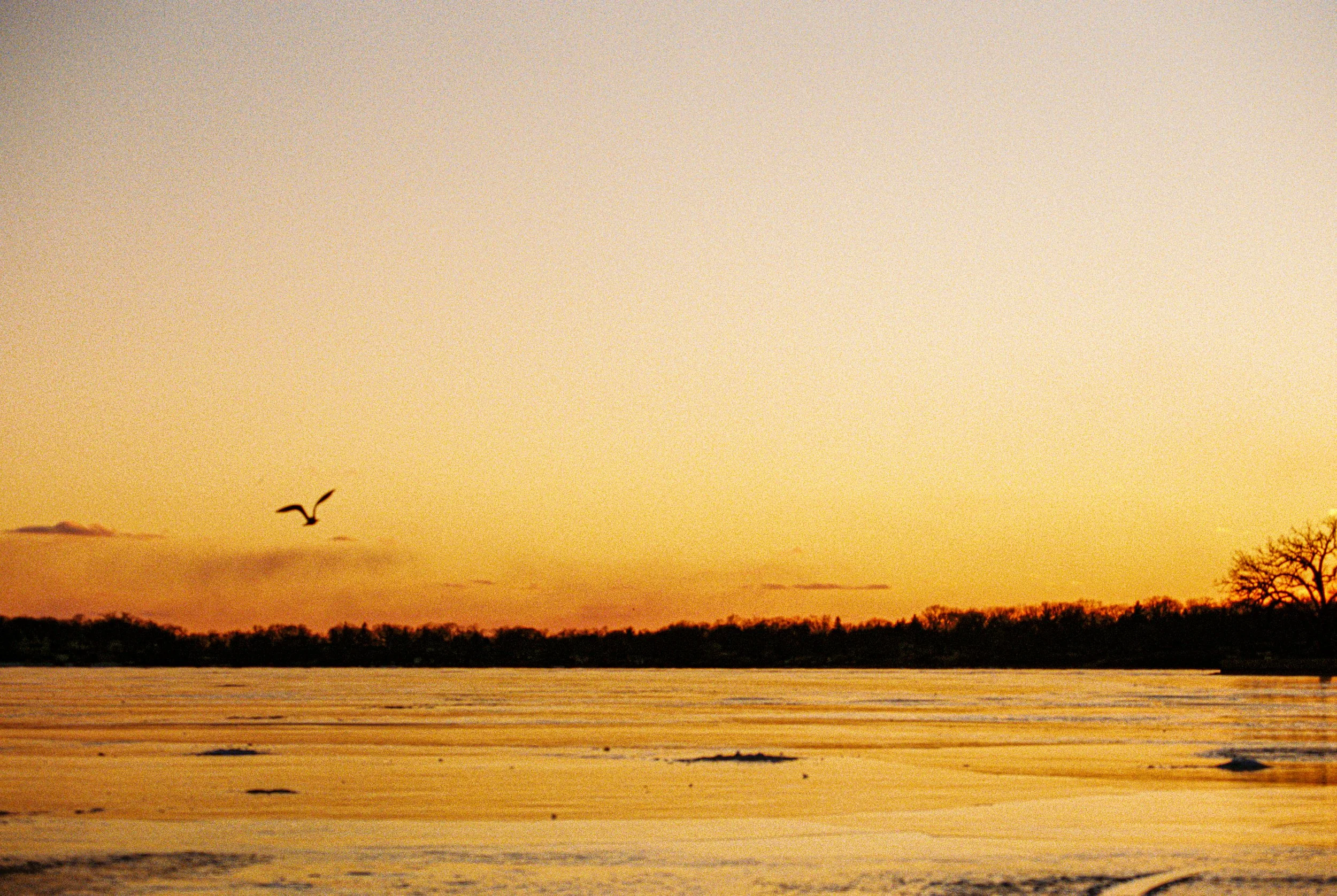 The Machine's Engine-141.jpg