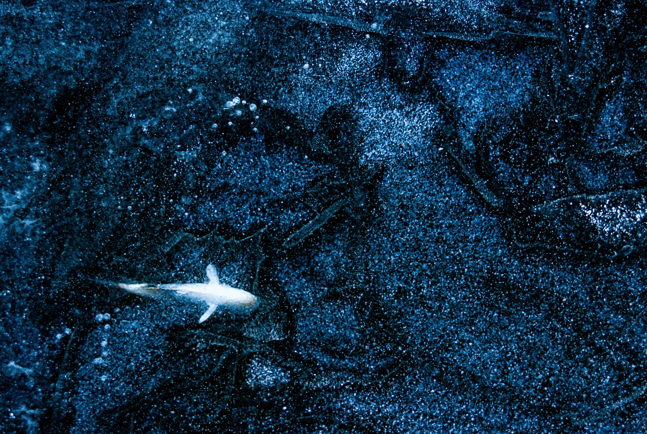 The Machine's Engine-138.jpg