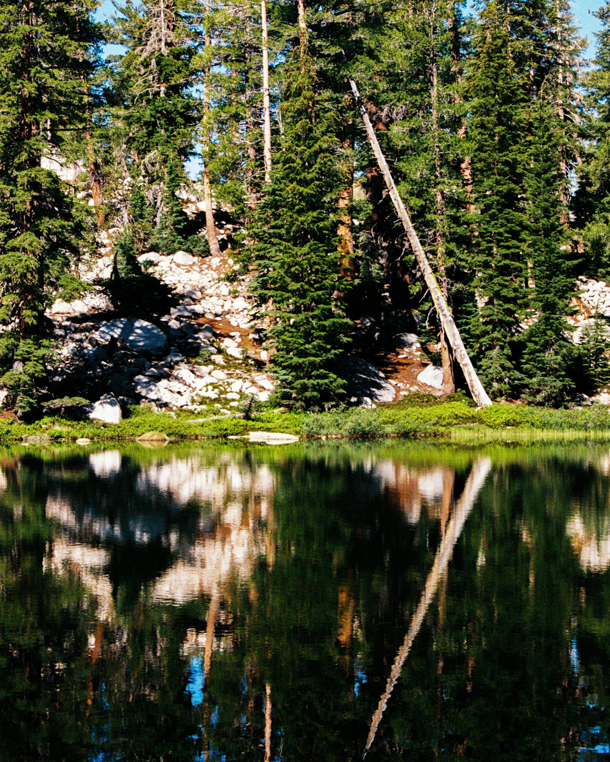 The Machine's Engine-151.jpg