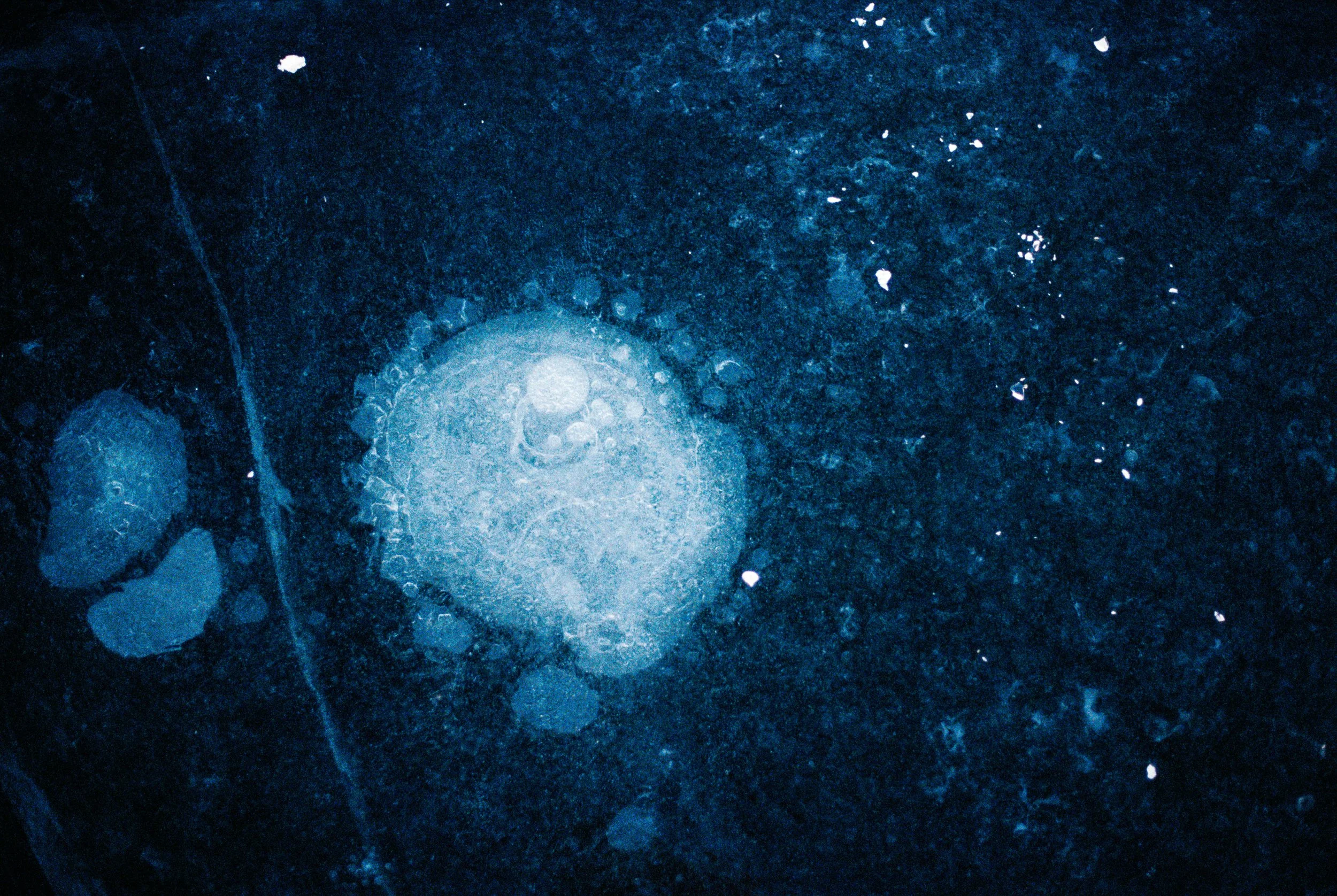 The Machine's Engine-147.jpg