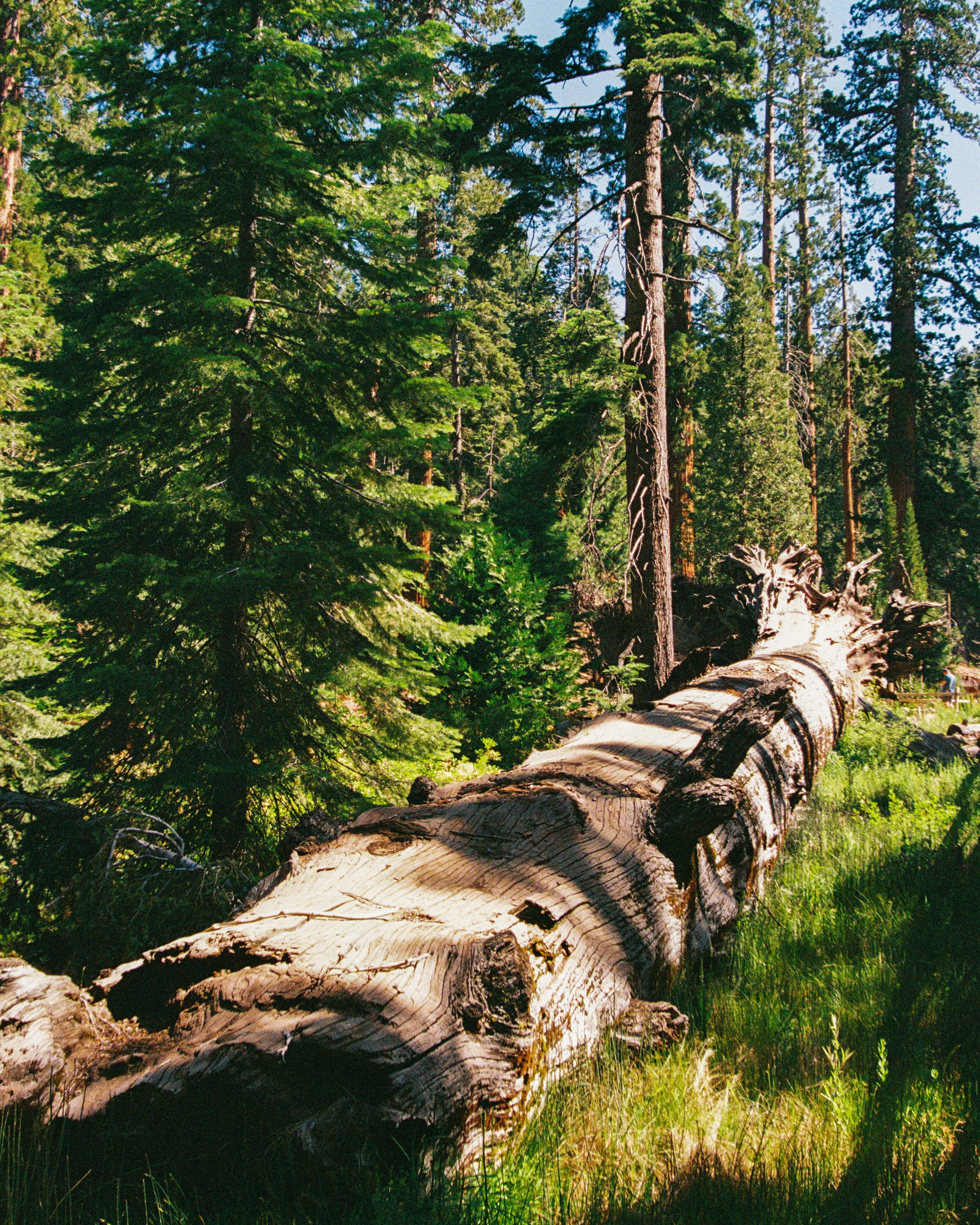 The Machine's Engine-148.jpg