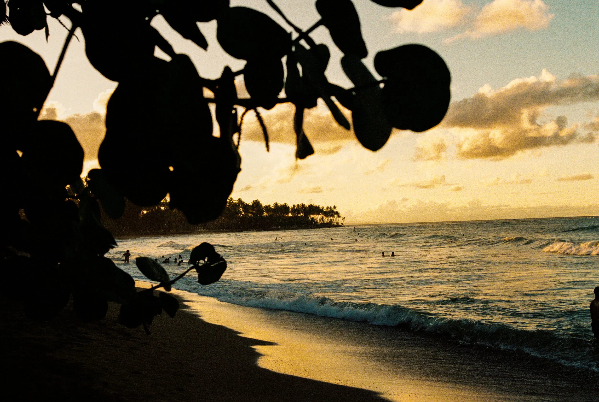 The Machine's Engine-145.jpg