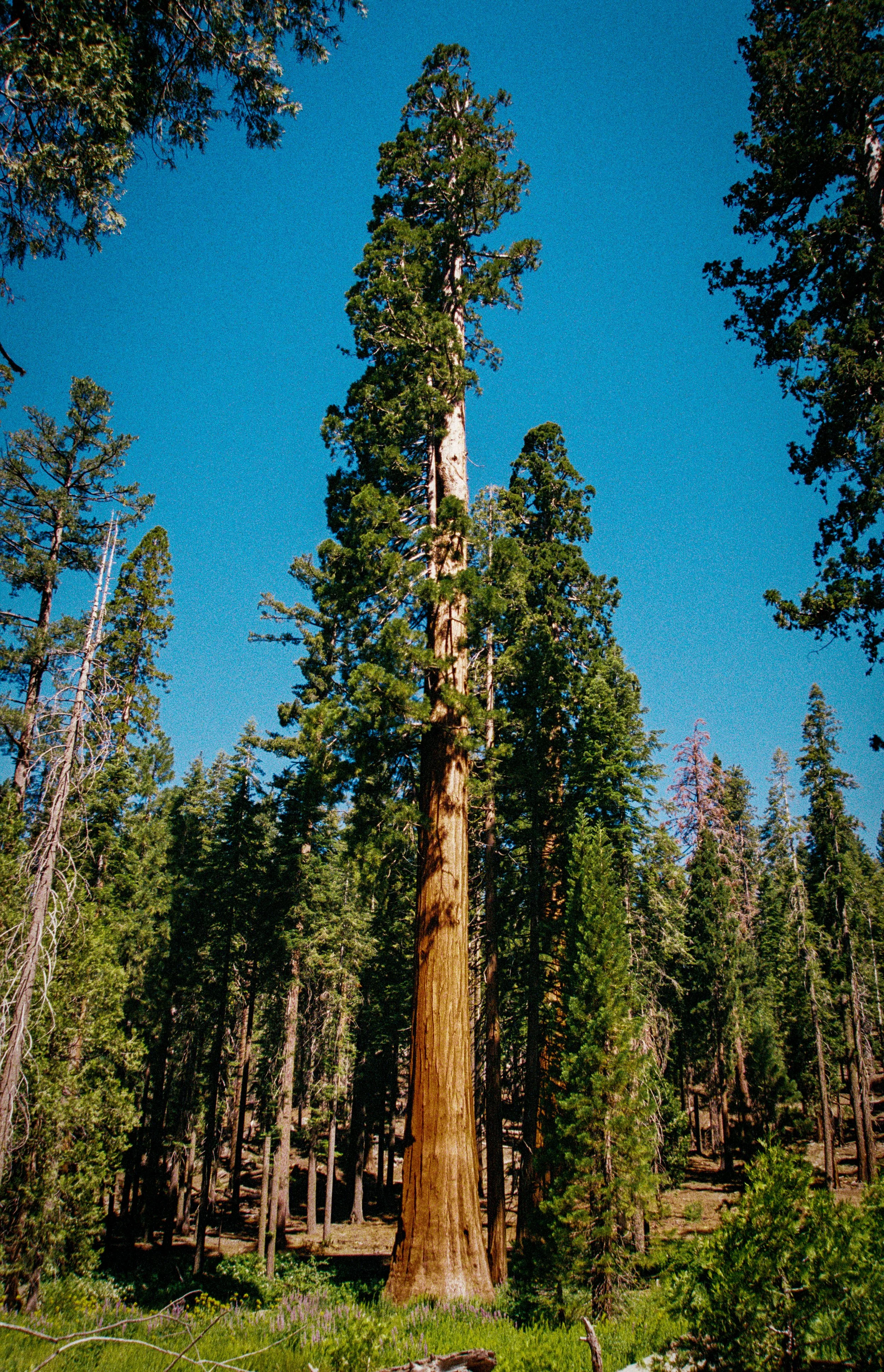 The Machine's Engine-149.jpg