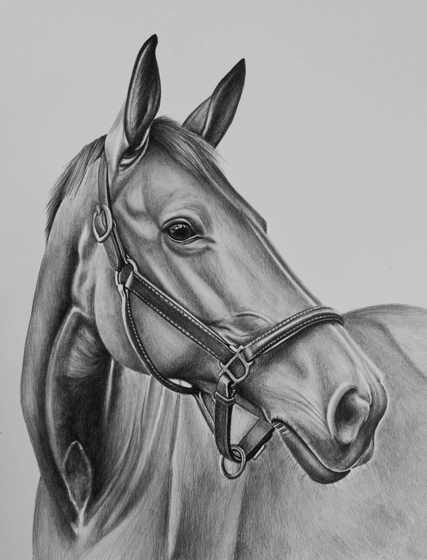 December is always a hard month for social media content! My studio is filled to the brim with projects, but I can&rsquo;t share the progress or the final result without ruining someone&rsquo;s Christmas surprise 🎁 So for now, here&rsquo;s a throwba