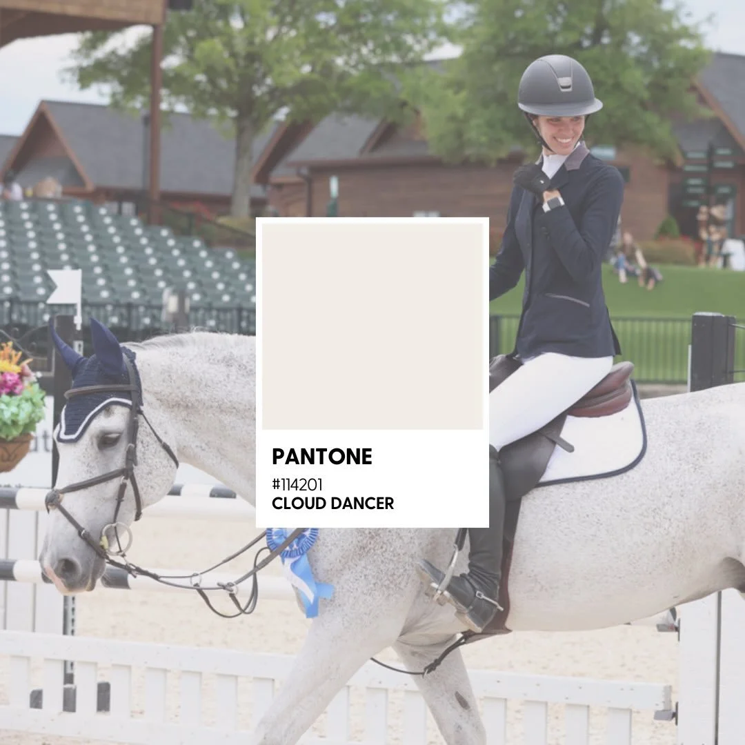 My horse isn&rsquo;t white, he&rsquo;s &ldquo;cloud dancer&rdquo; #pantonecoloroftheyear