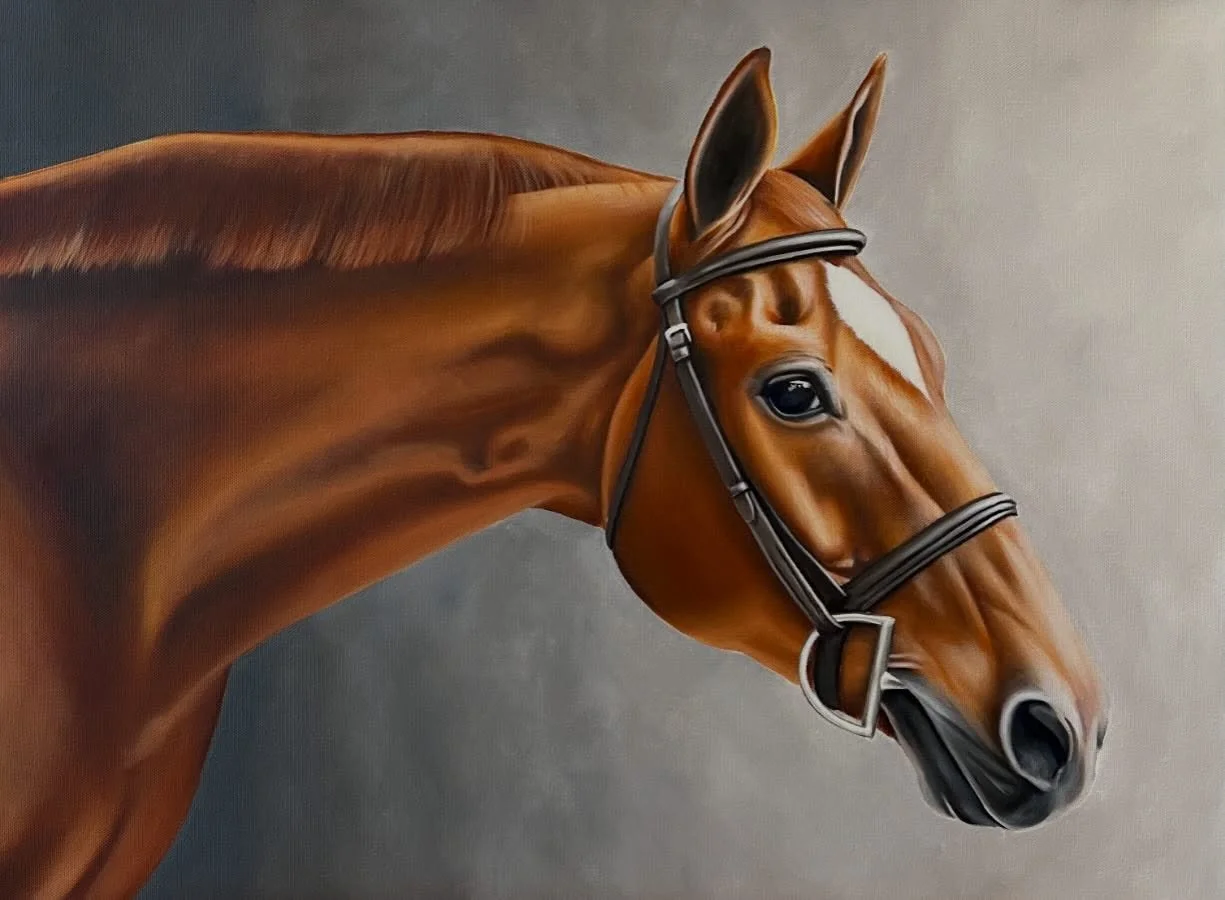 Hand It Over, a.k.a. Bubba 🤍 He&rsquo;s been an important part of the Willoughby Stables team for many years, and I&rsquo;m lucky to have known him and his mom since I was a teenager! Anyone who knows Bubba knows there&rsquo;s never a dull moment wh