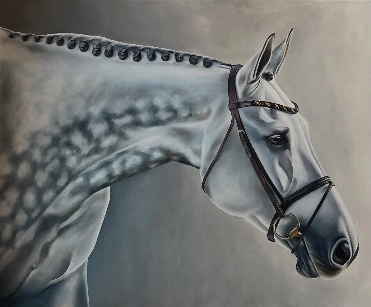 It must be an important day when everyone you know is posting about HORSES 🐴 Happy year of the fire horse! I was so proud of all the horse paintings I created this past year, and even more excited to see what this year brings.

My commission schedul