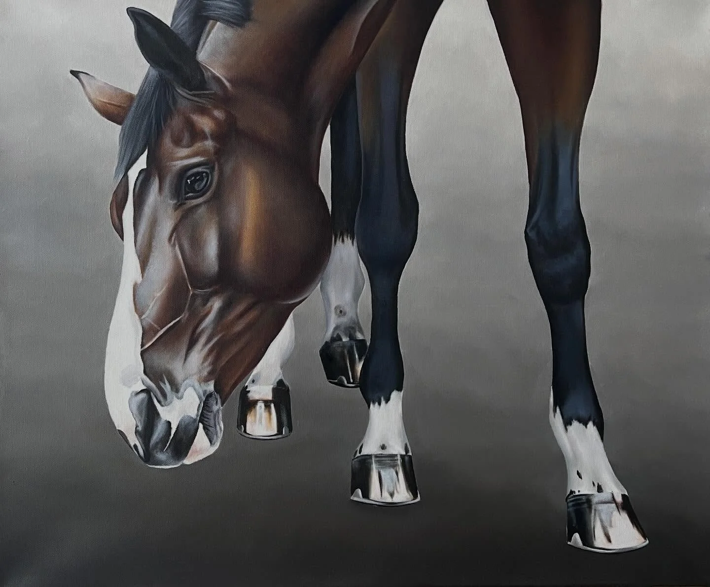 To say I had fun painting Sunjata (AKA Odie) is a wild understatement 🤍 He&rsquo;s one of the most handsome horses I&rsquo;ve ever met and is basically a work of art himself!