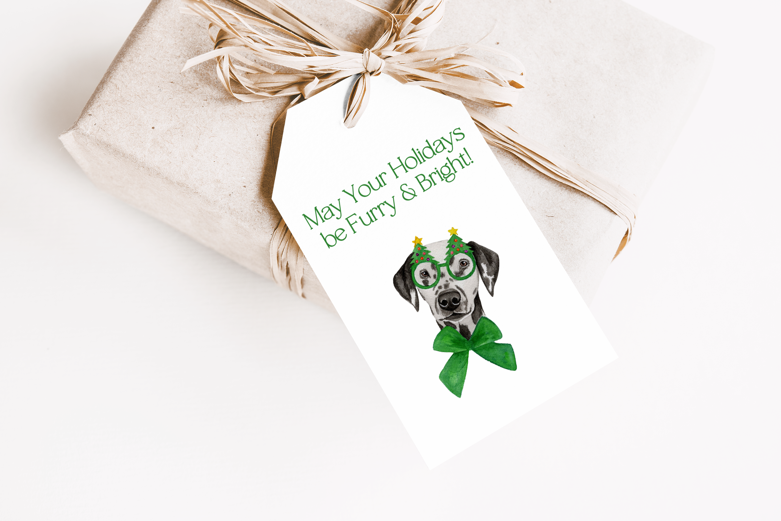 Dog 3.png