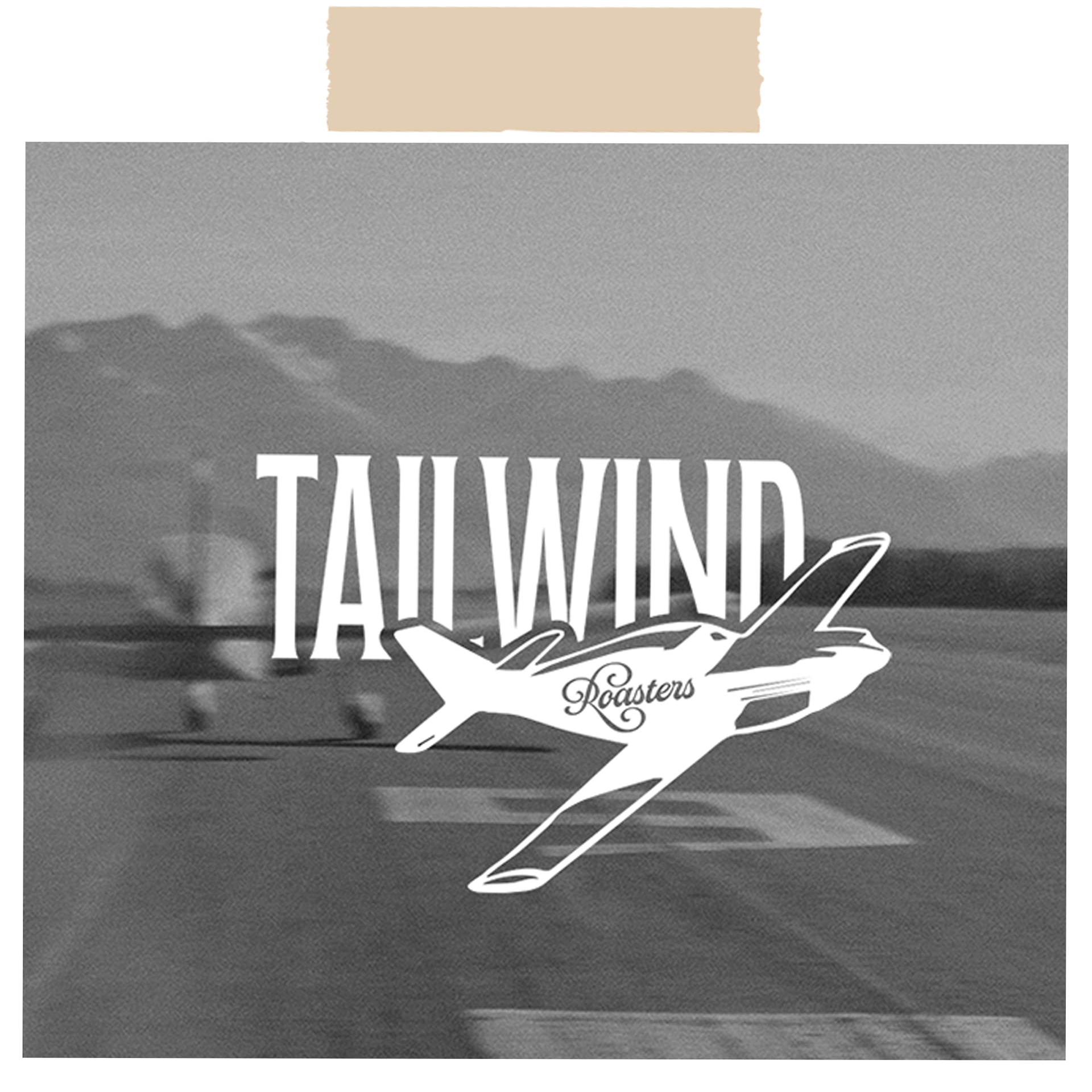 tailwind_polaroid.png