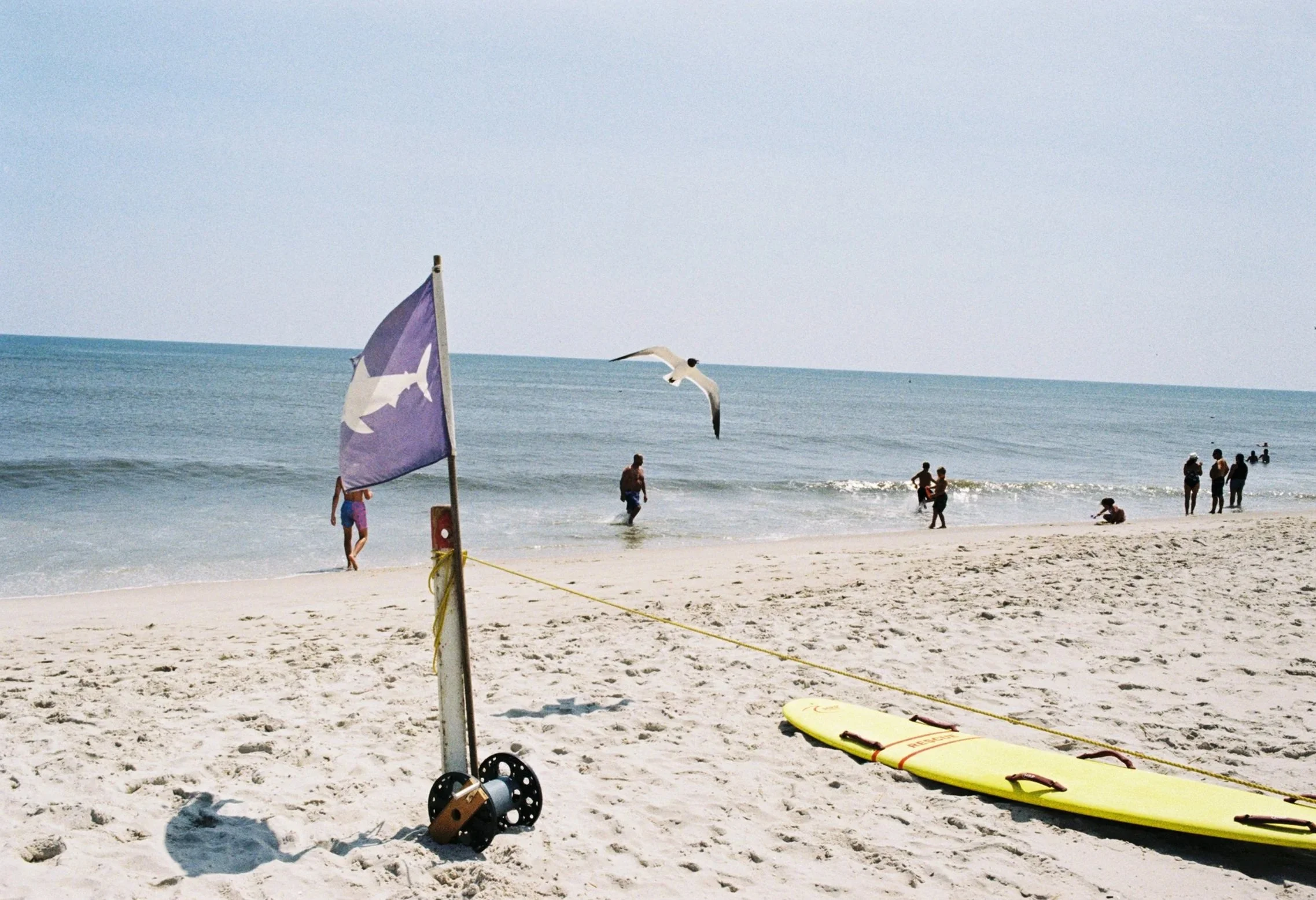 ss2119007075-R1-019-8.jpg