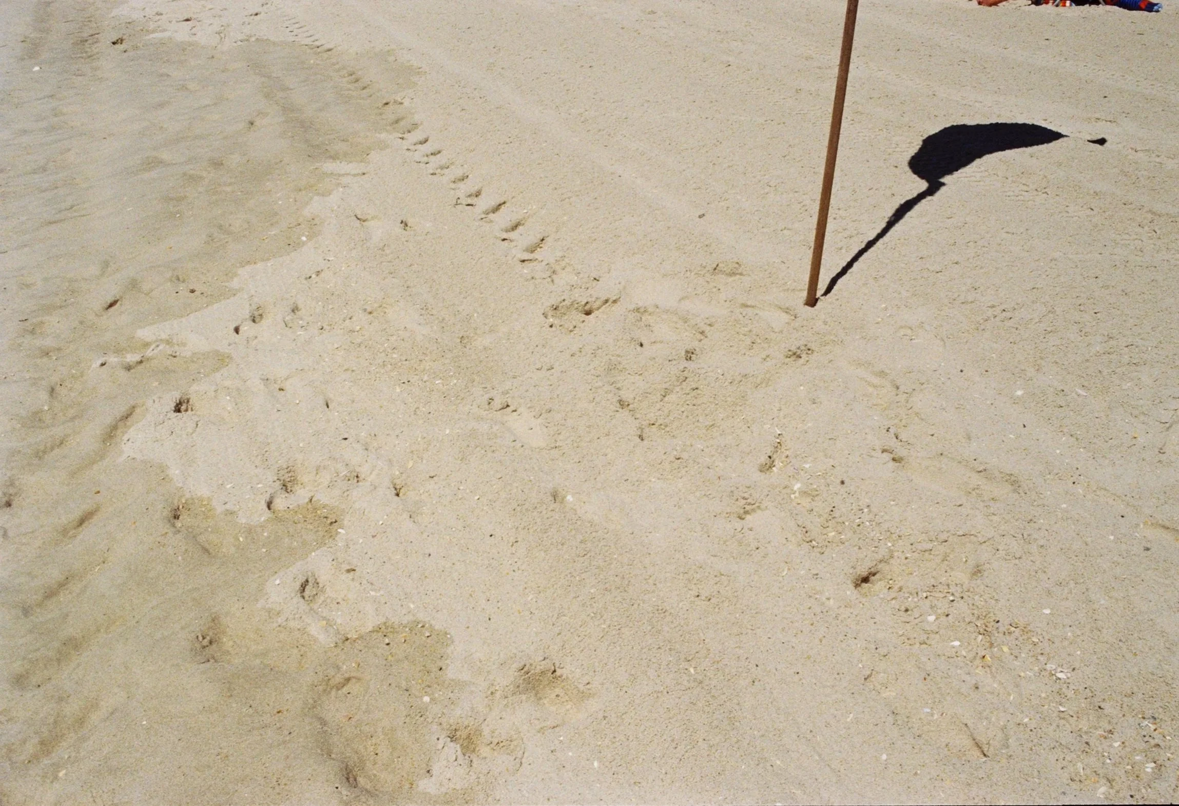 ss2120185011-R1-067-32.jpg
