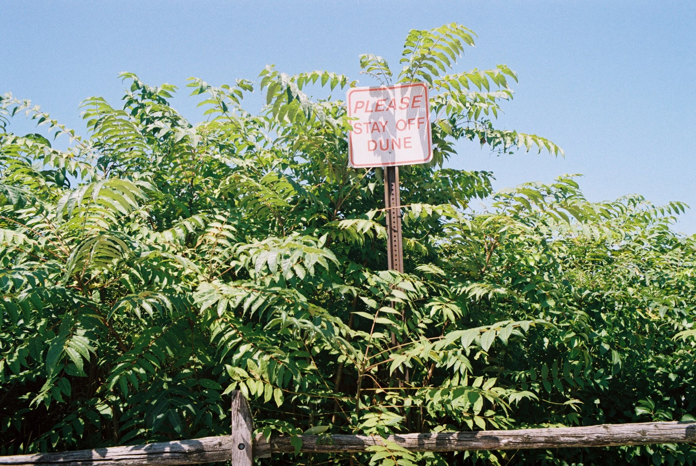 S538632-R5-023-10.jpeg