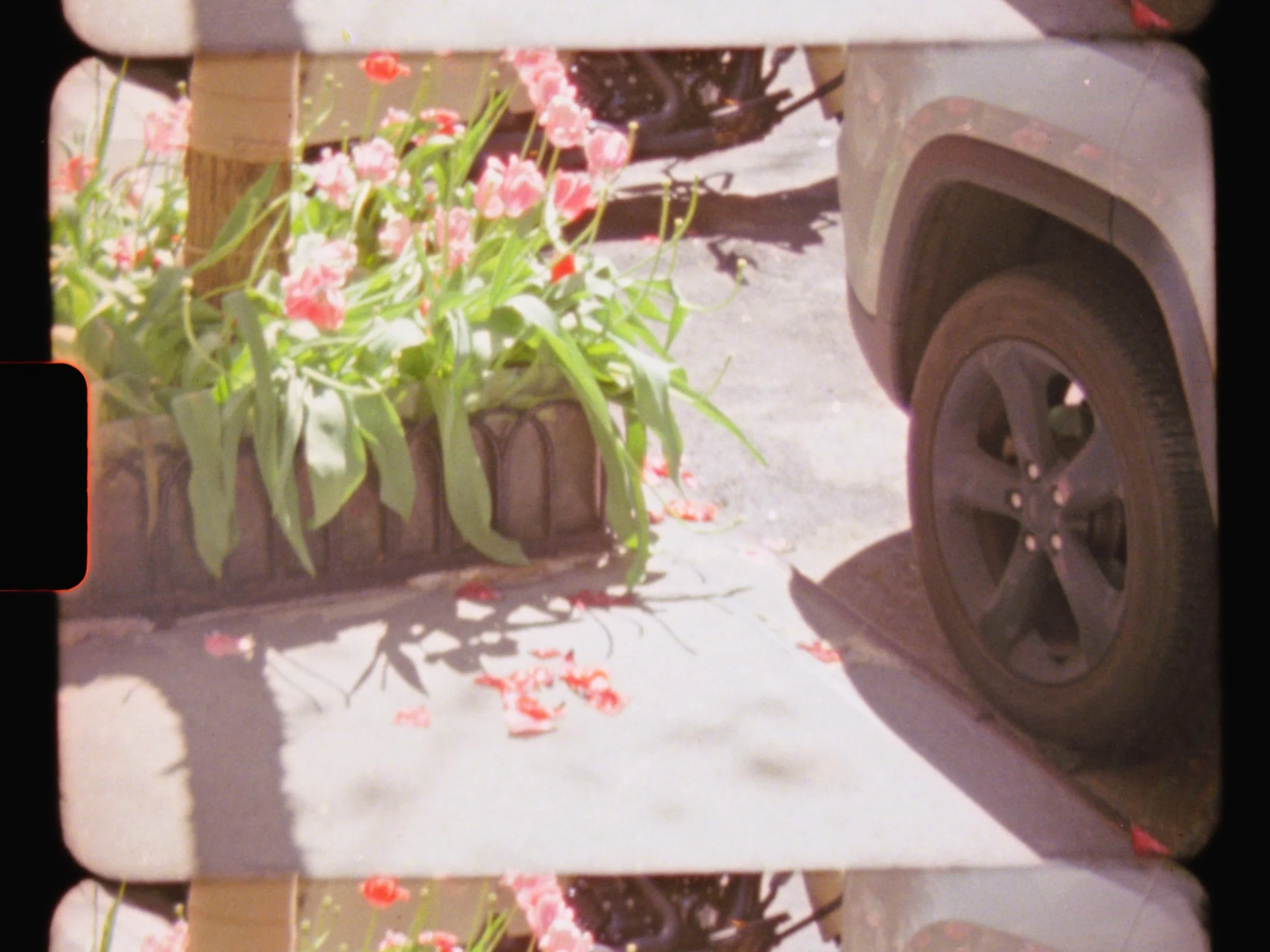 Sequence 01.00_00_15_09.Still007.jpeg