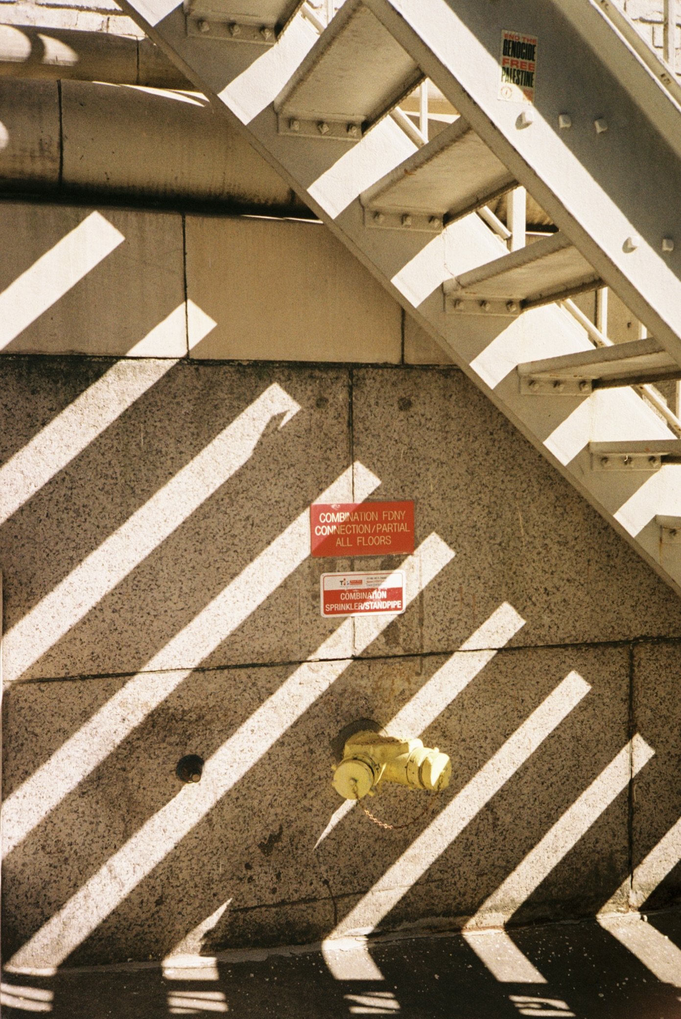 IMG_8013.jpeg
