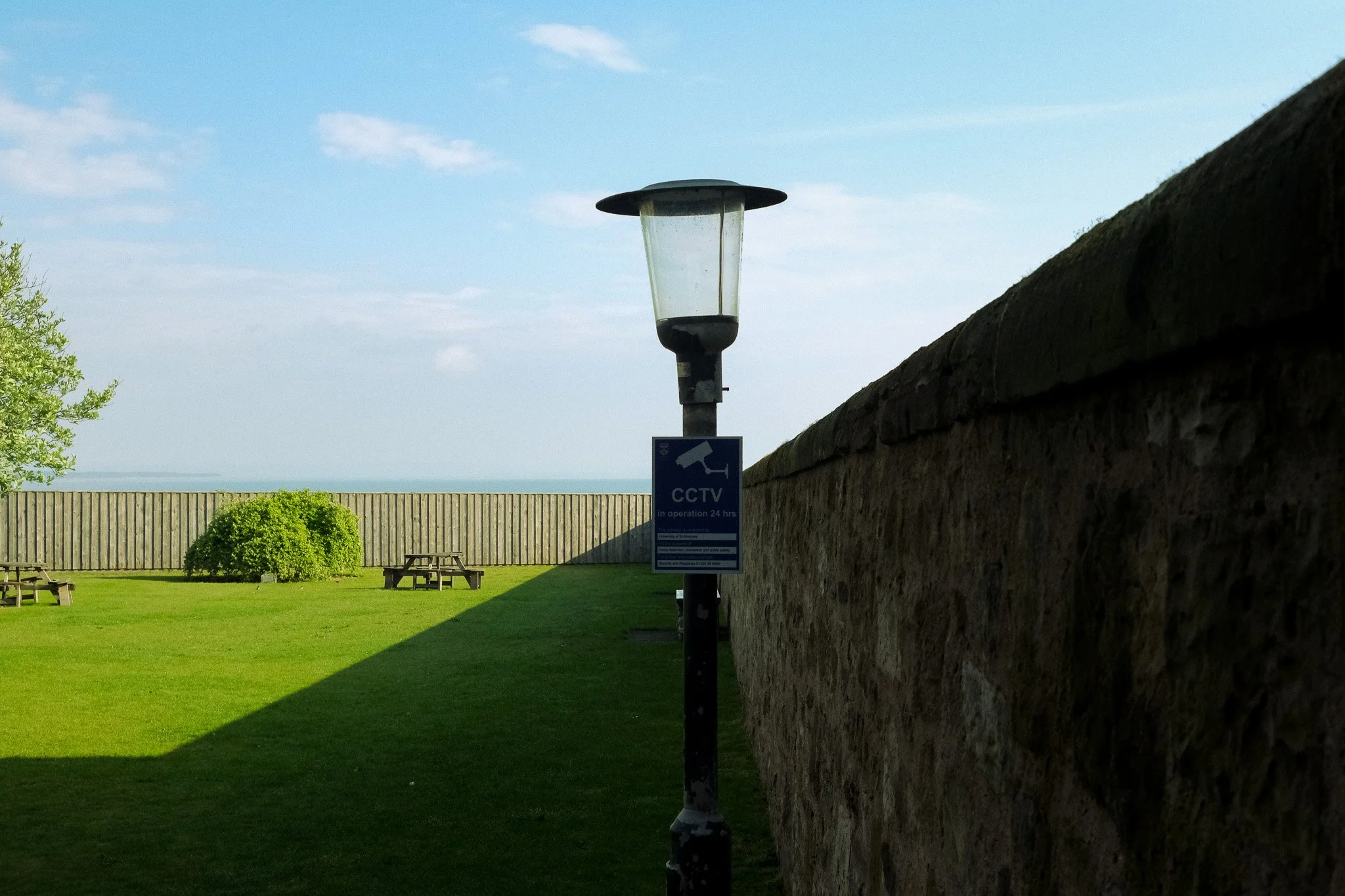 DSCF7406.jpg