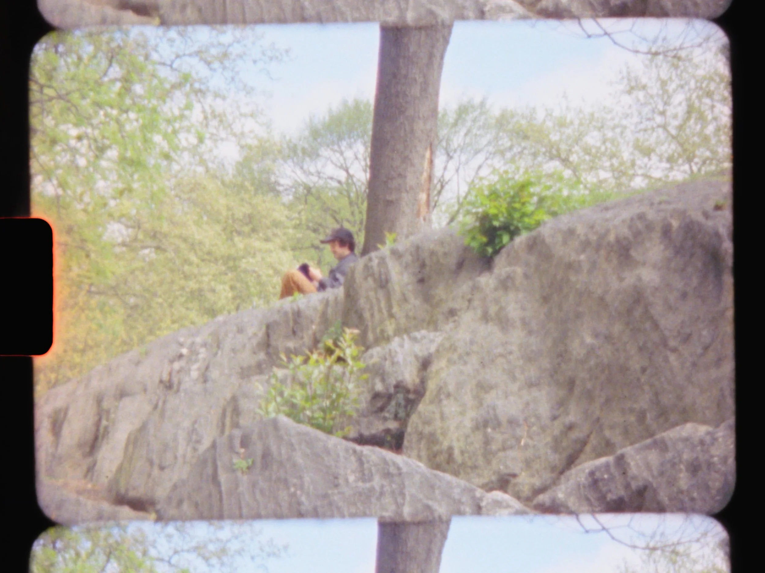 Sequence 01.00_01_58_00.Still057.jpeg
