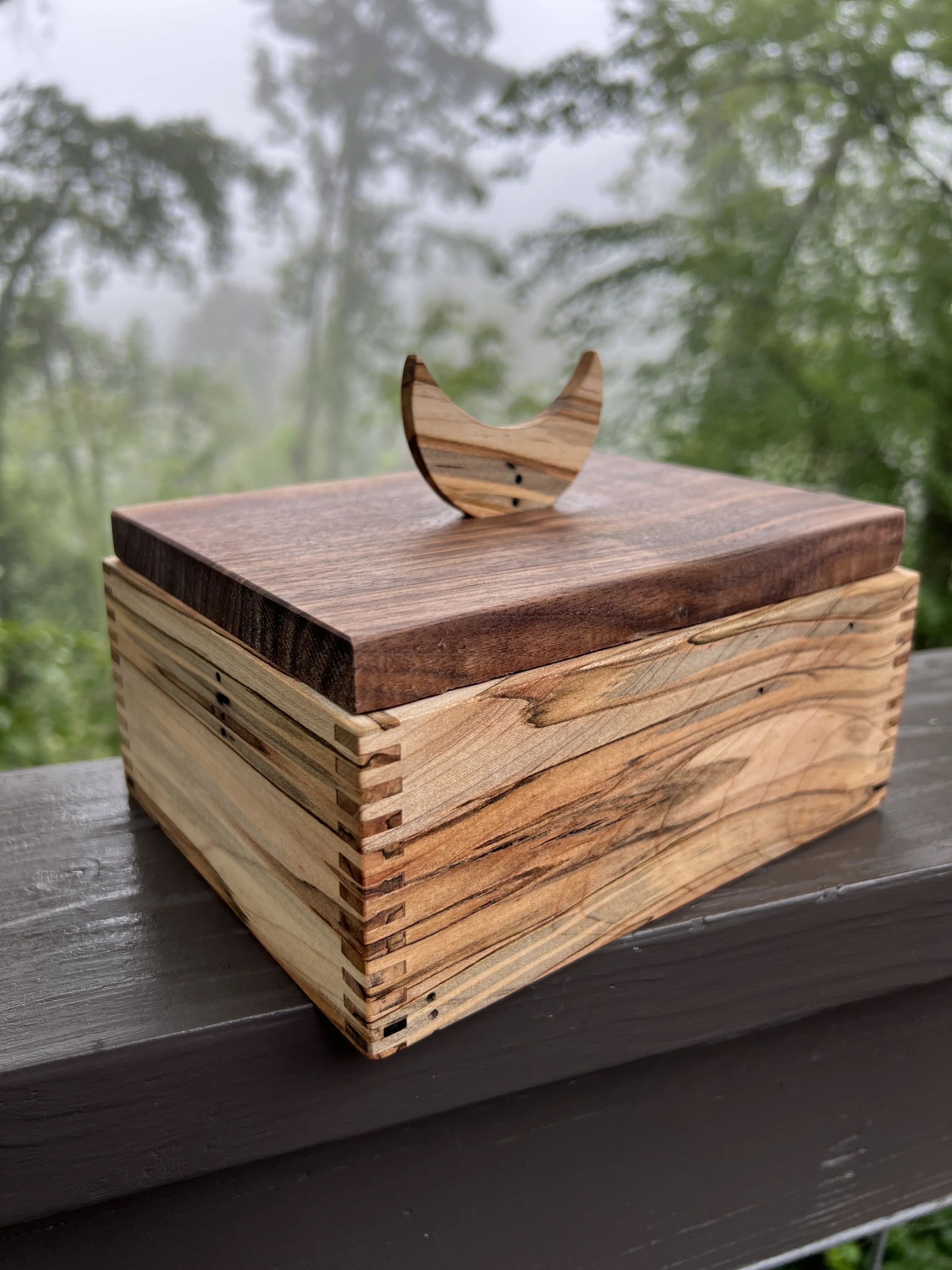 Ambrosia maple wooden box with finger joints and a walnut lid with a moon cut out on top. Box made by woodworker Toryn Black
