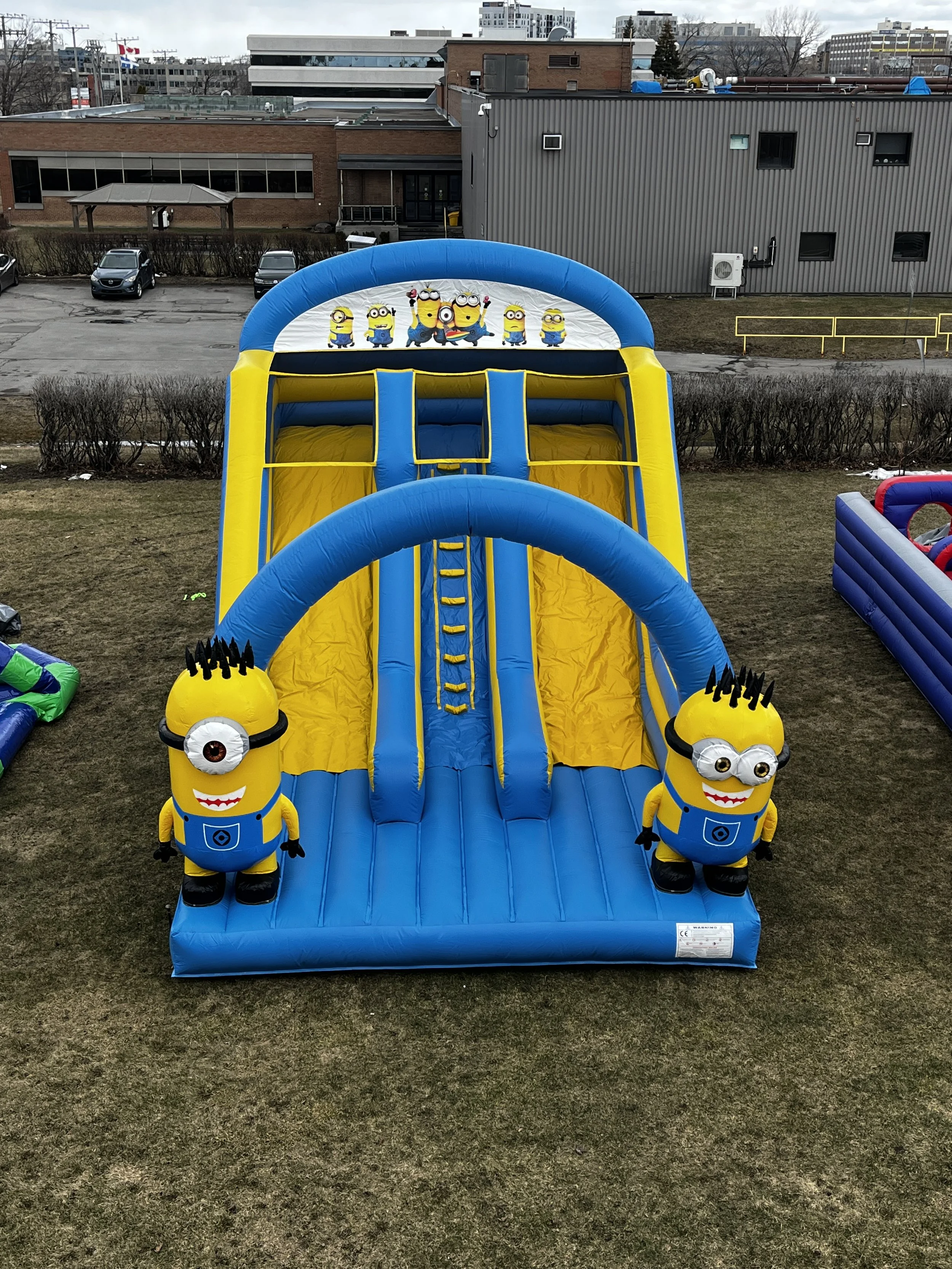 MINION SLIDE