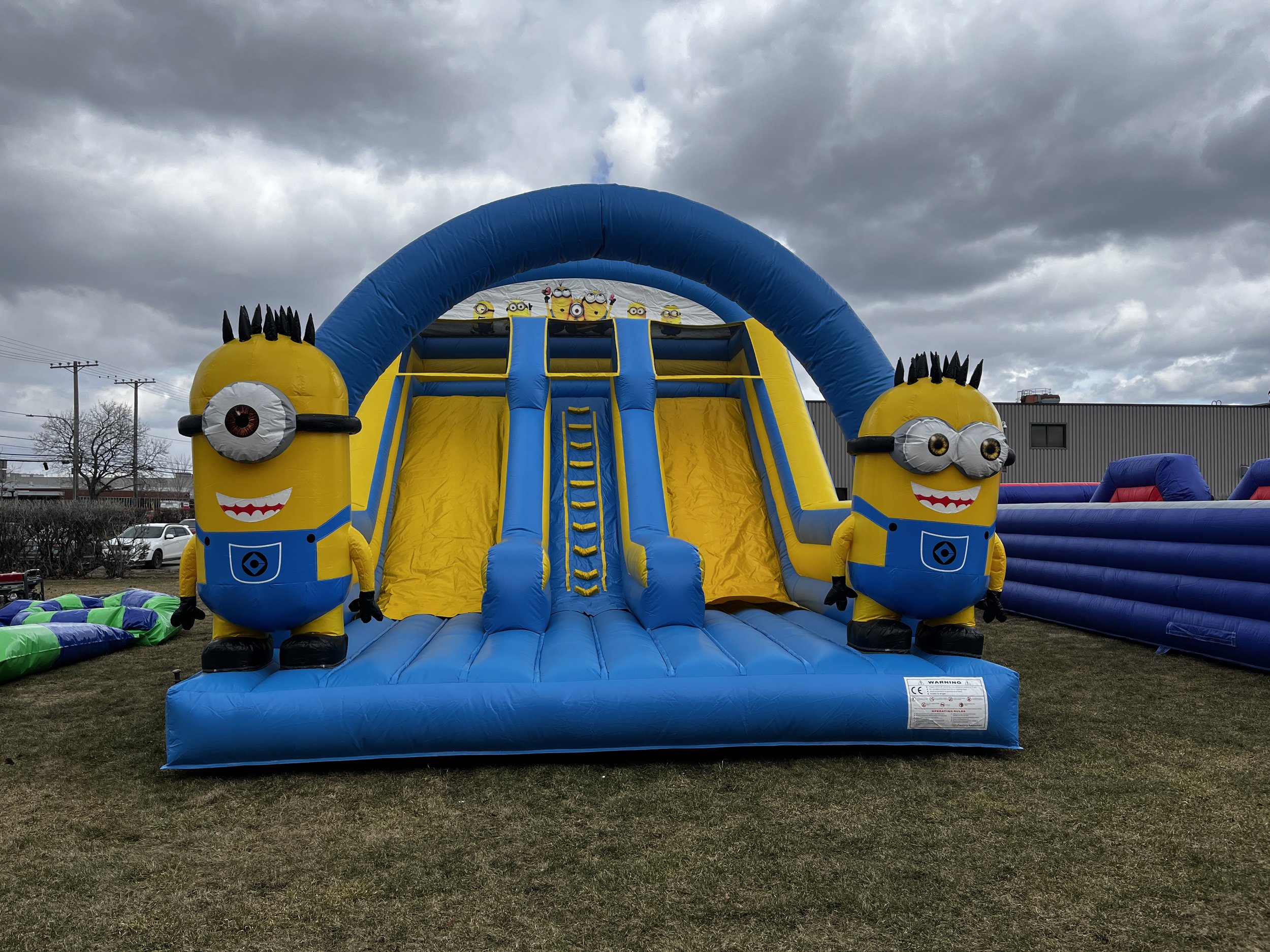 MINION SLIDE