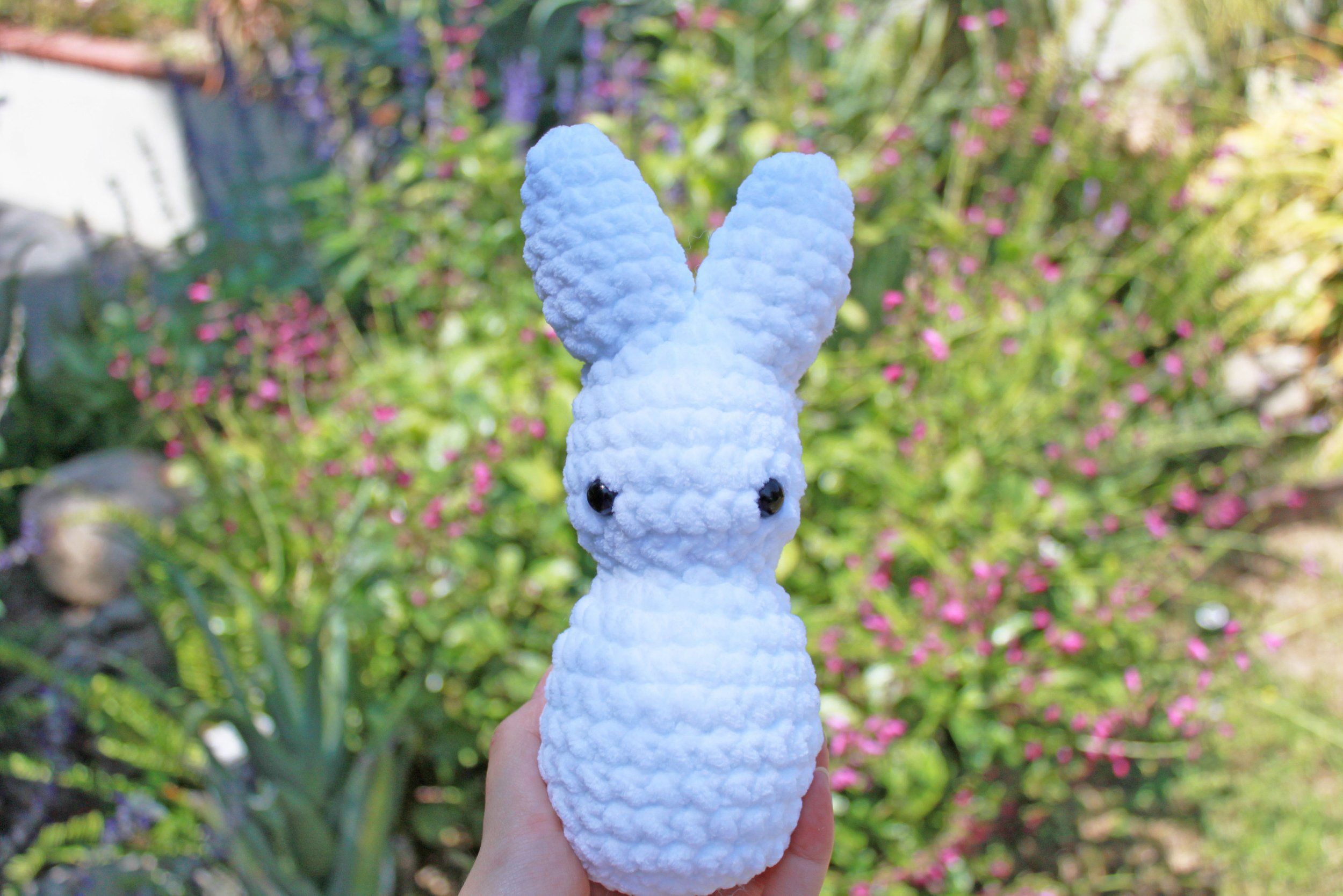 white bunny.jpg