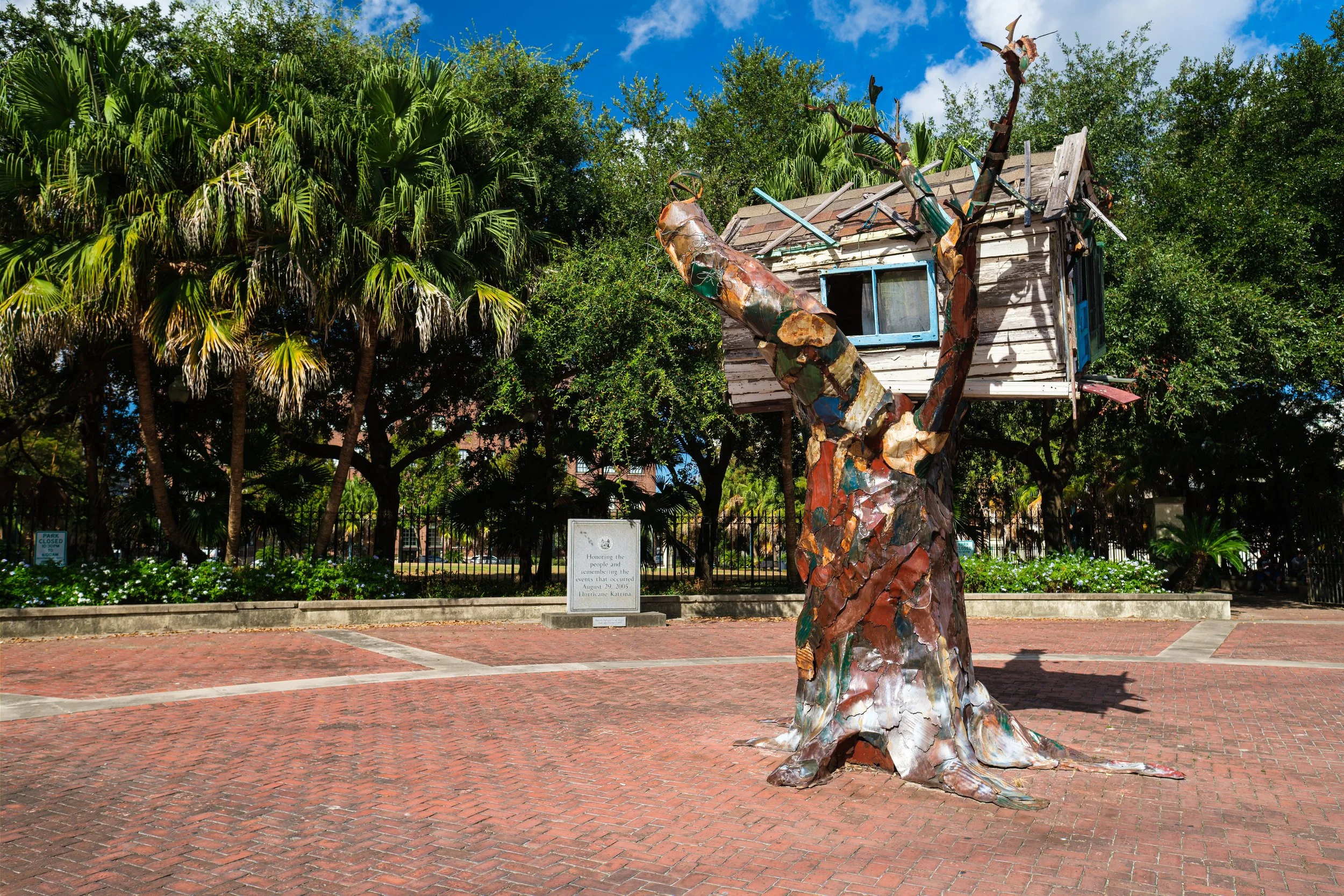 Walking the Waters: My Katrina Story