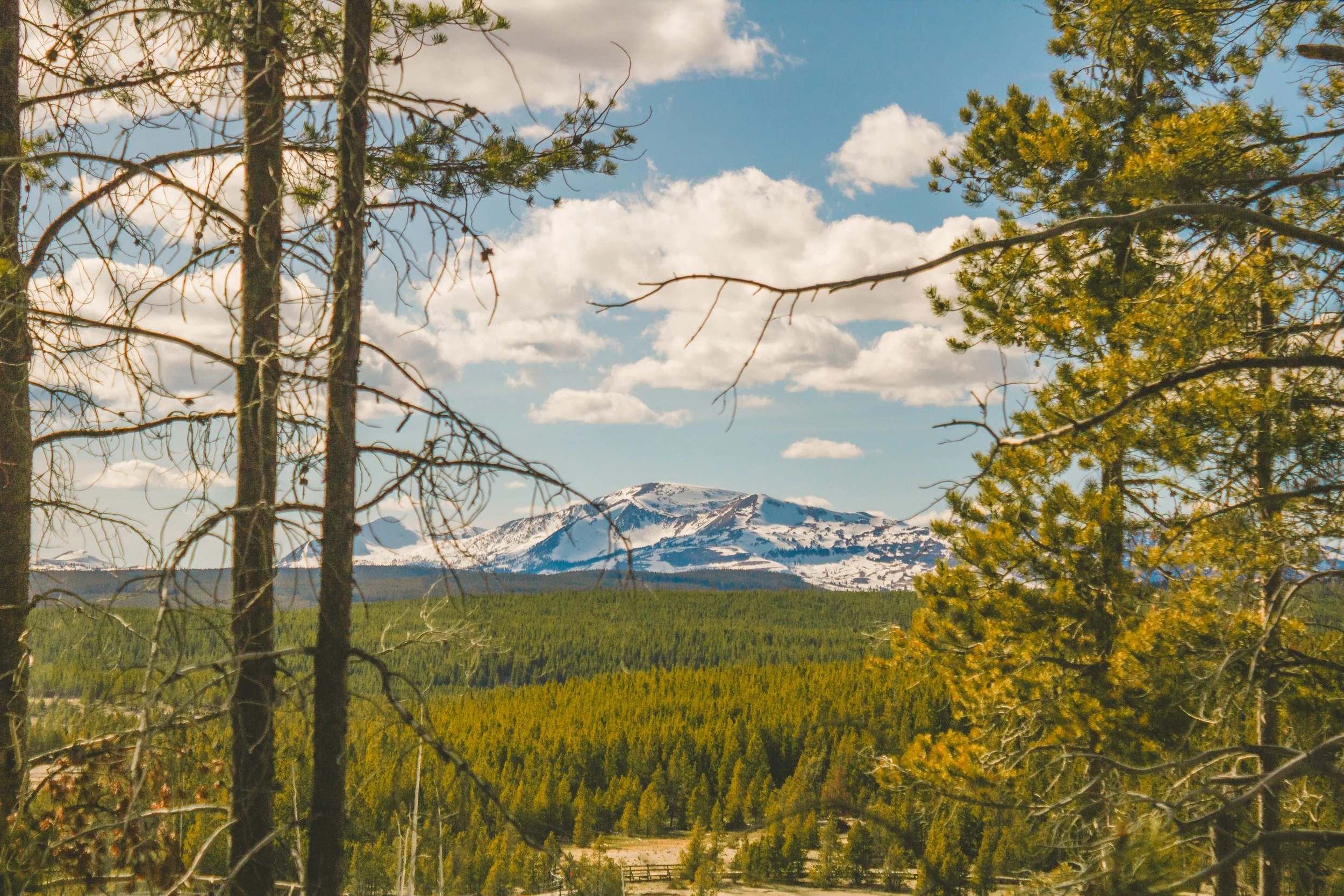 Yellowstone/SLC 2024