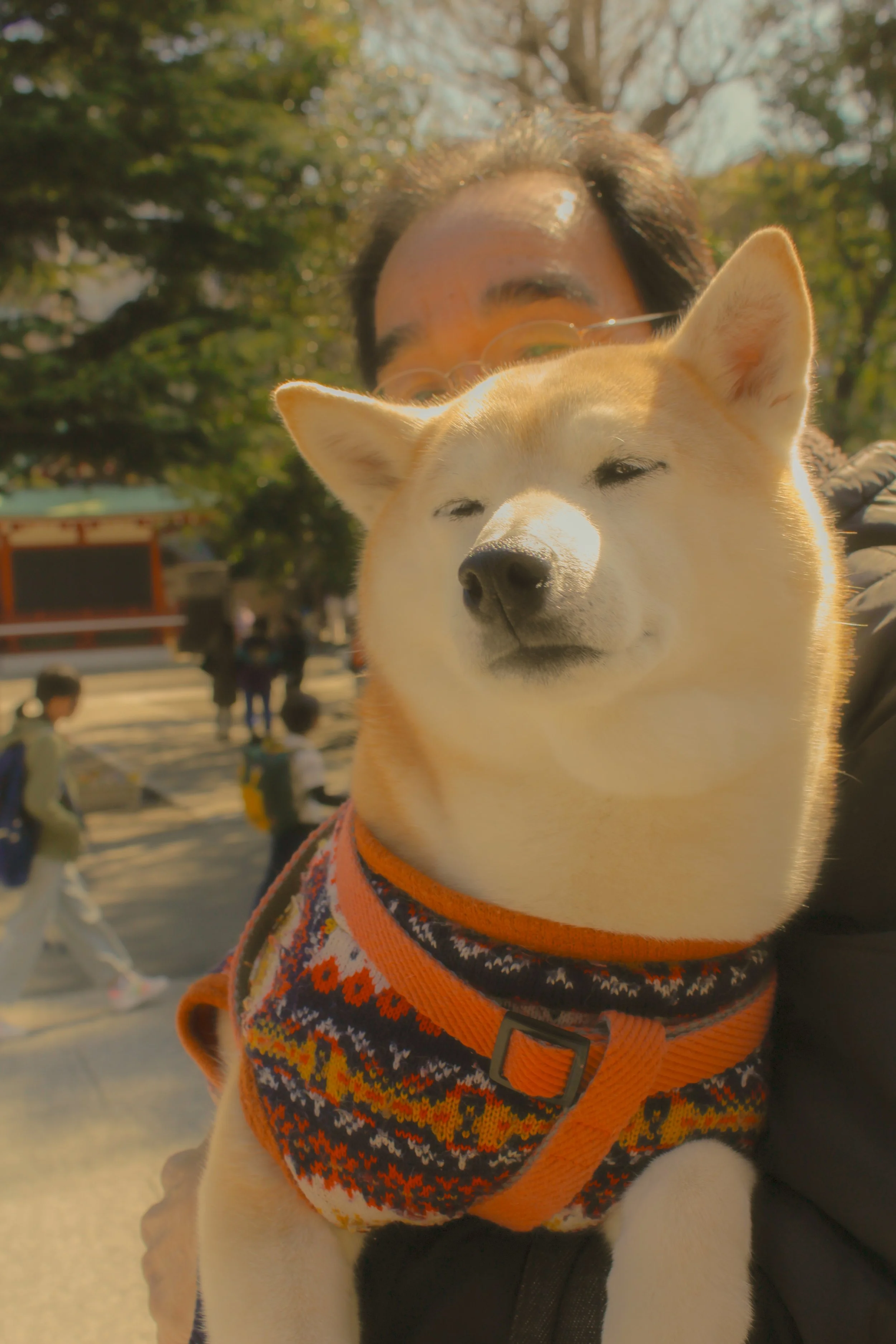 A really sweet puppy that I got to pet!