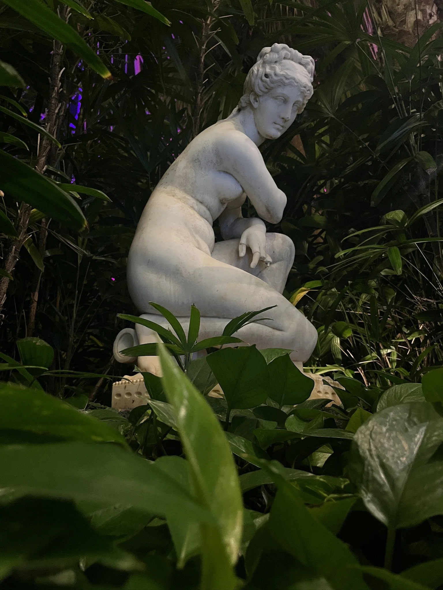 Hidden amongst the leaves