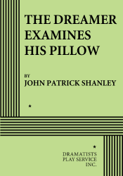 The Dreamer Examines His Pillow