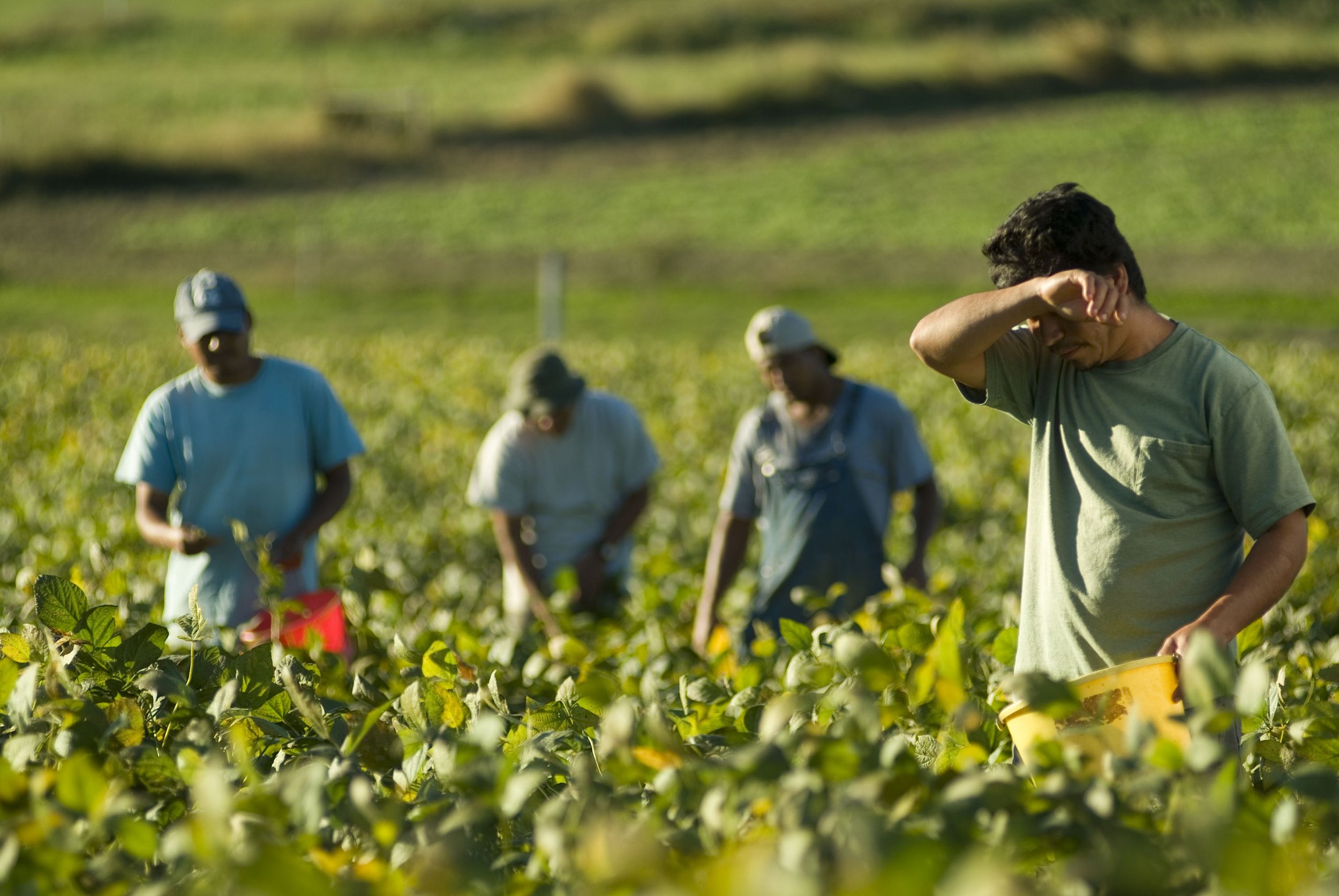 From Disclosure to Accountability: Corporate Responsibility in Labor Trafficking
