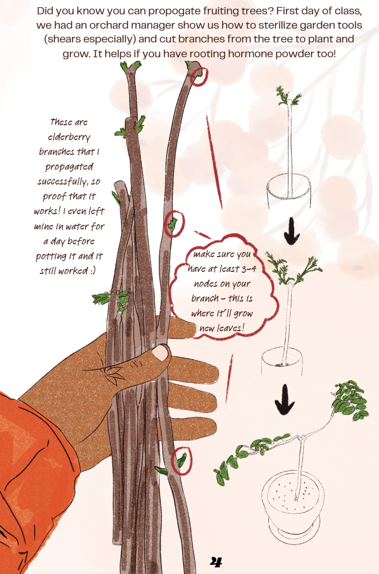 portfolio  new 3 .png