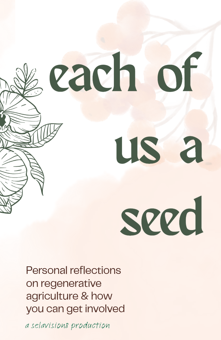Each of Us a Seed (Comic Zine)