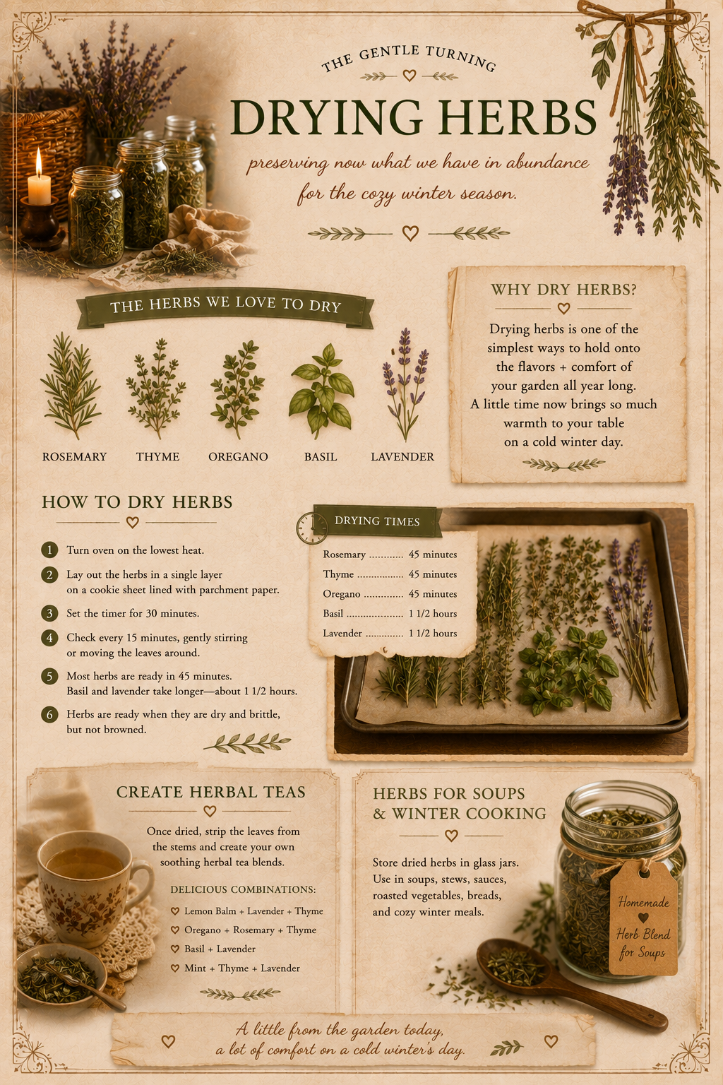 Drying Herbs