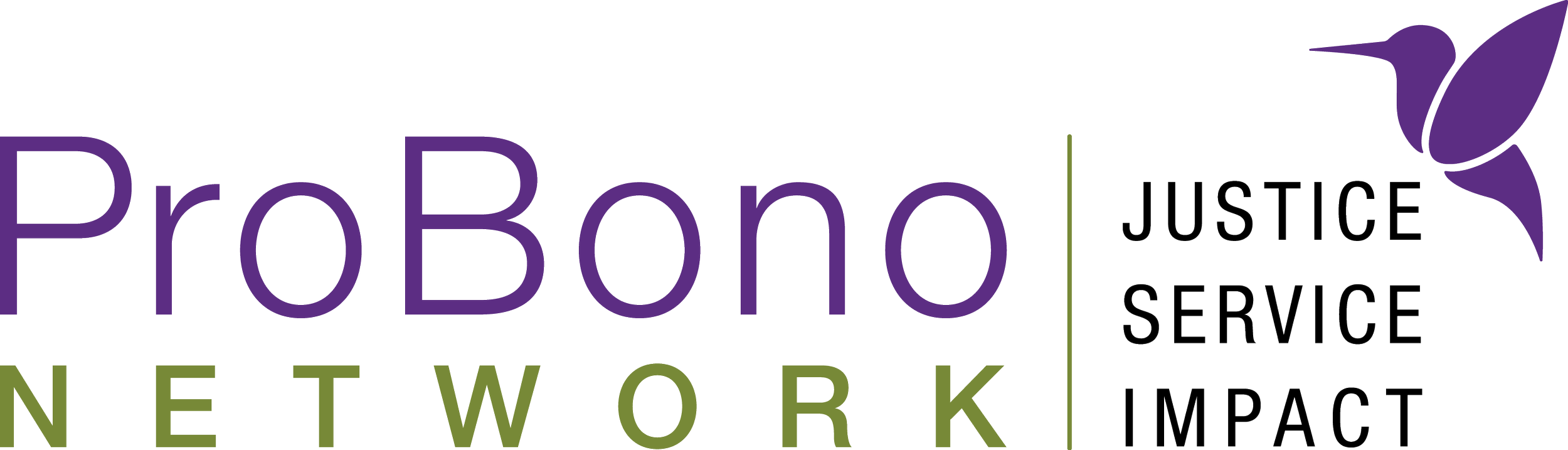 Pro Bono Network