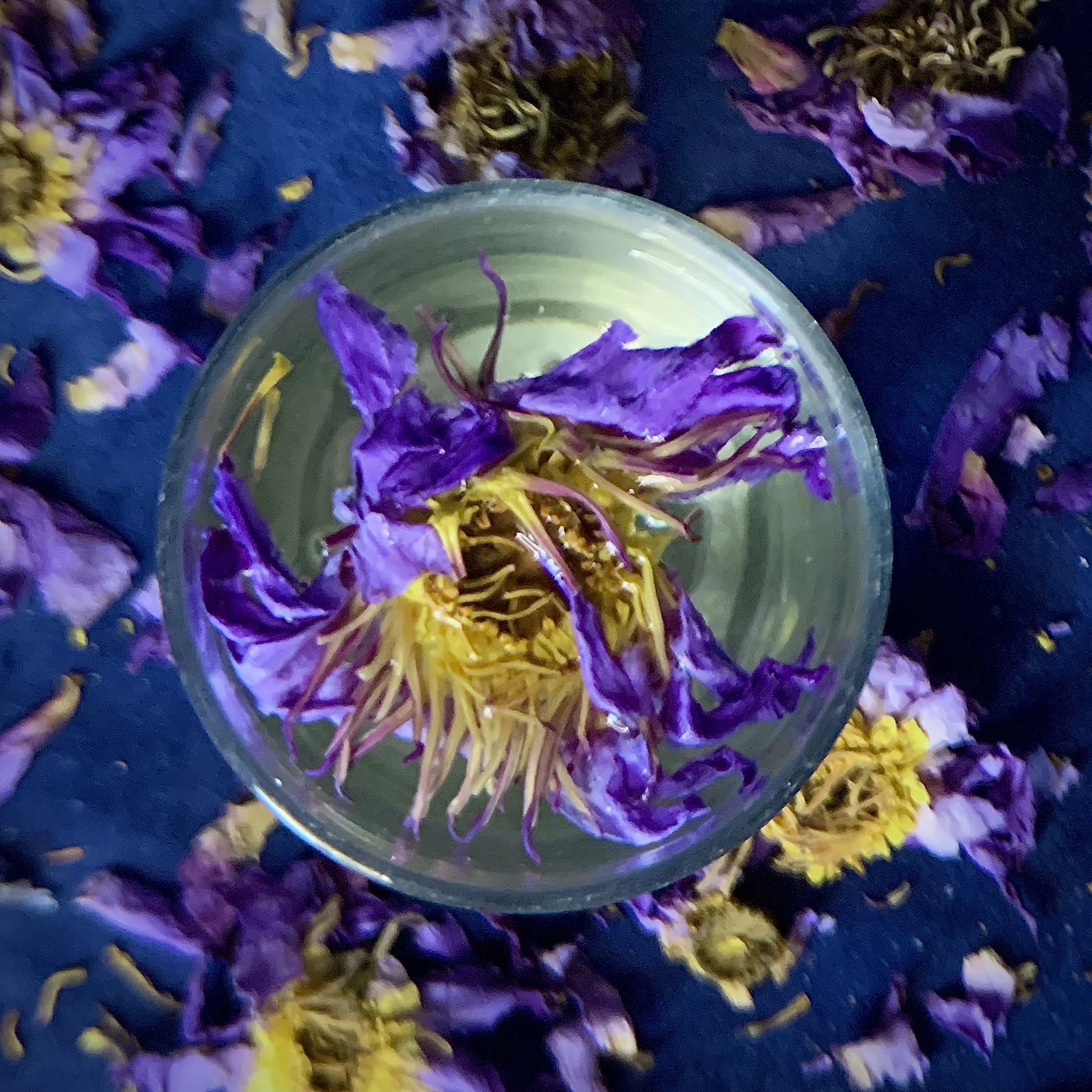 Organic Clean Skincare AlchemicalPhoenixKitchen