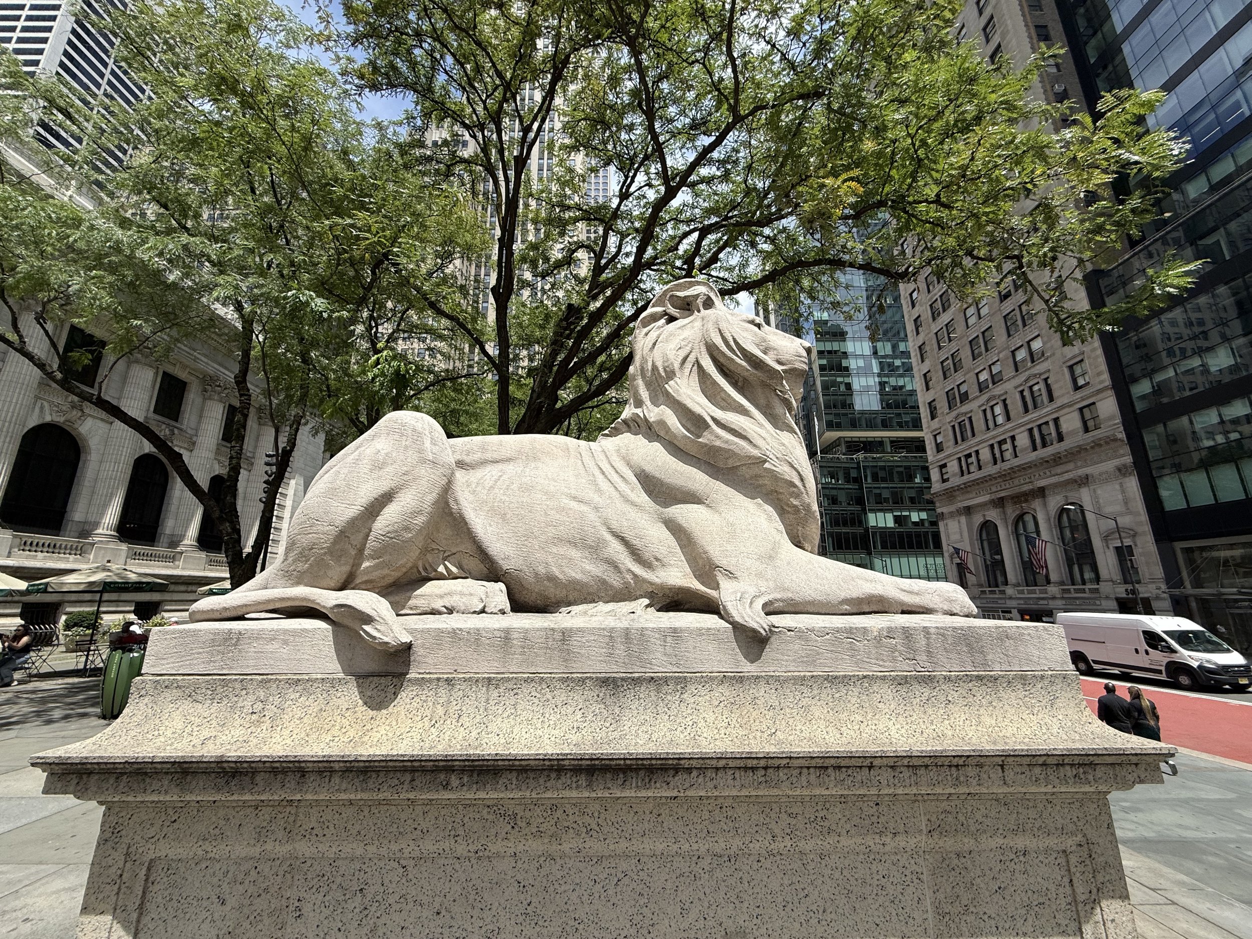 Library Lion in NYC