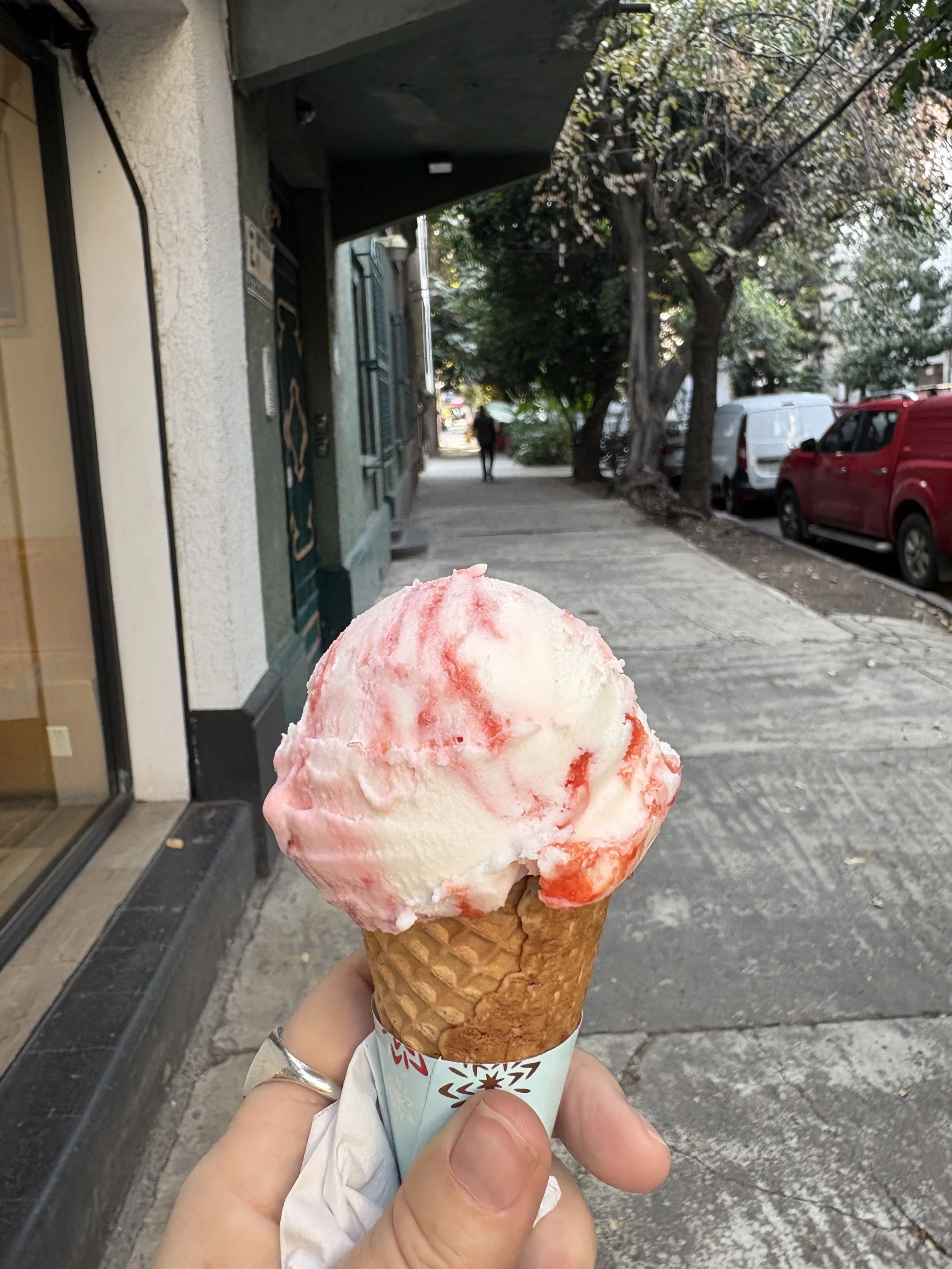 ice cream_mexico city.JPG